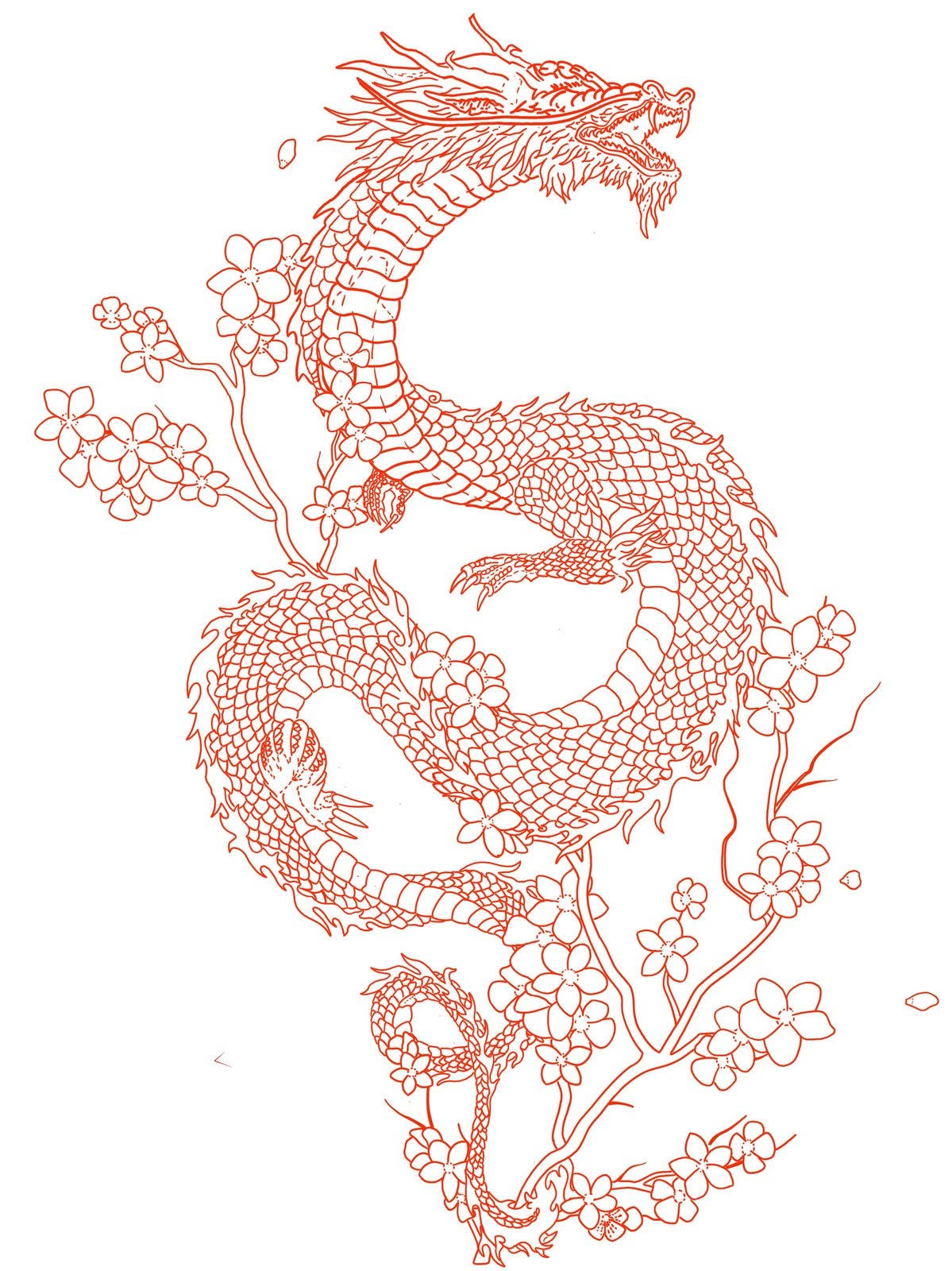 Japanese Dragon Tattoo 桌布 壁紙 — 一條優雅的紅色線條龍纏繞在櫻花枝上，呈現傳統東亞風格。