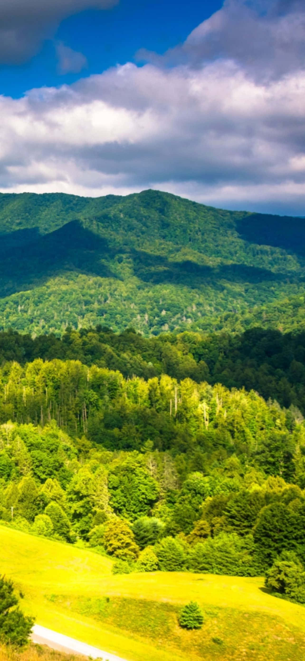Mountain iPhone 桌布 壁紙 — 一條充滿活力的山脈，被茂密的綠色森林覆蓋，在明亮的藍天和蓬鬆的白雲下。