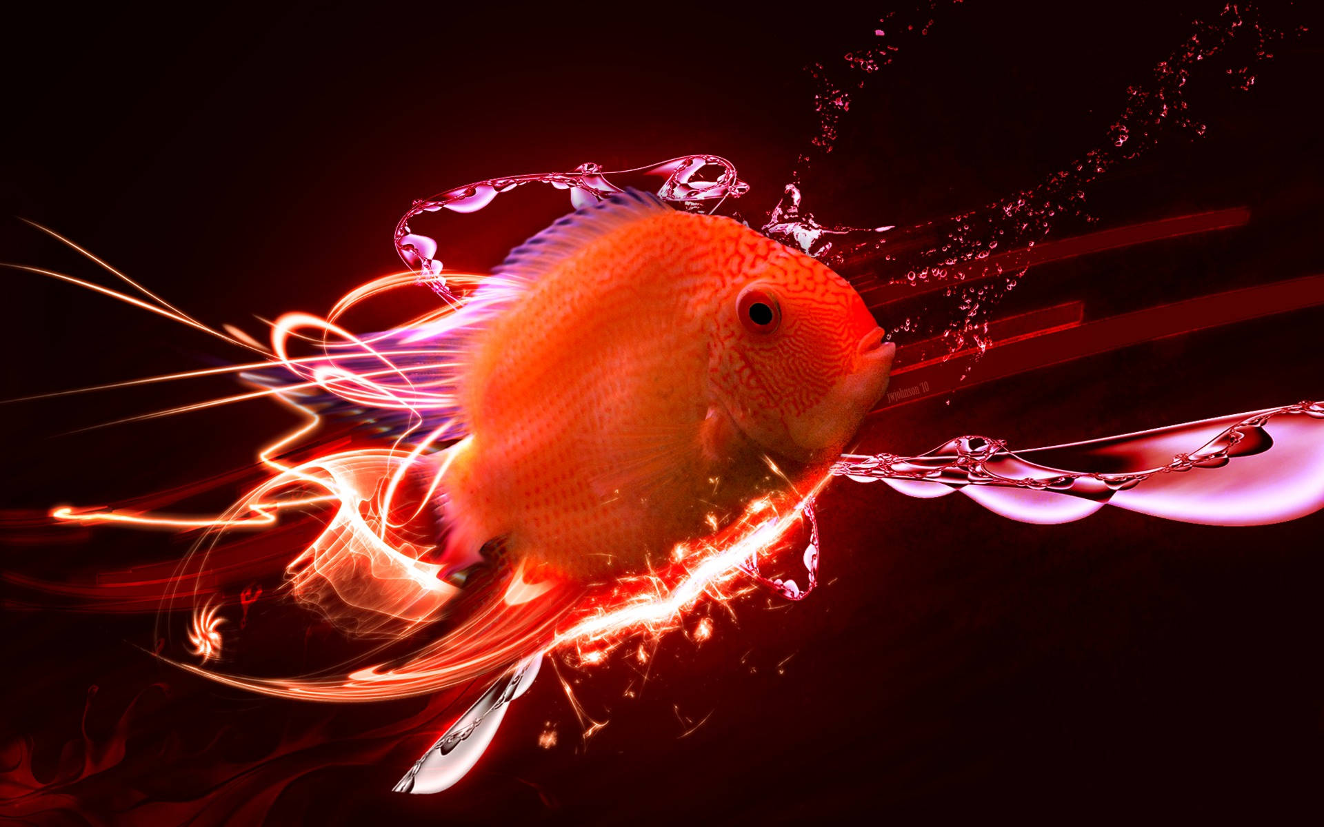 Neon Light 桌布 壁紙 — 一條充滿活力的橙色魚在黑暗背景下，帶著發光的紅色痕跡和閃爍的水滴衝破水面。