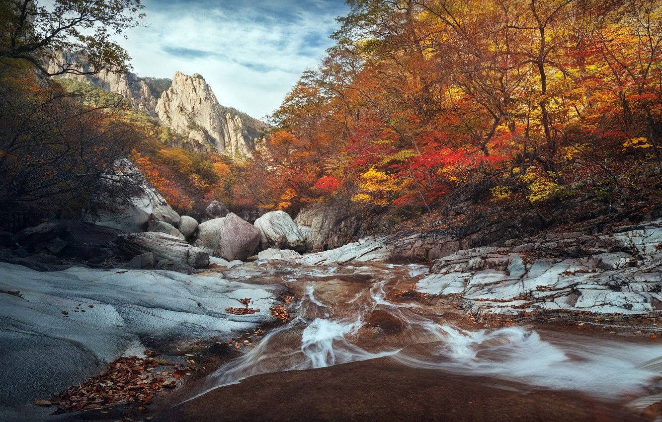 山脈 桌布 壁紙 — 一條充滿活力的秋天溪流蜿蜒穿過岩石地形，周圍環繞著火紅、橙色和黃色的樹葉，天空部分多雲。