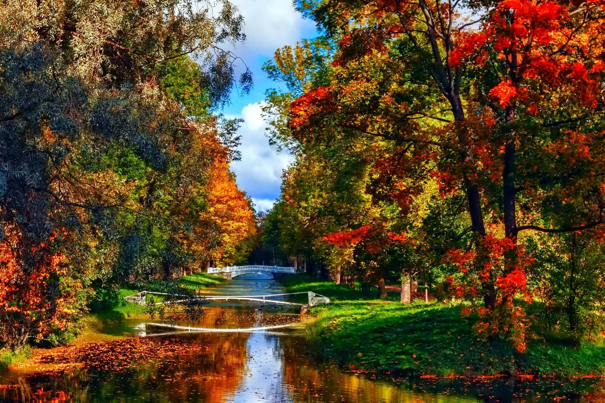 October 桌布 壁紙 — 一條充滿活力的秋季運河，兩旁是火紅和金黃的樹木，在明亮的藍天下有零星雲朵。