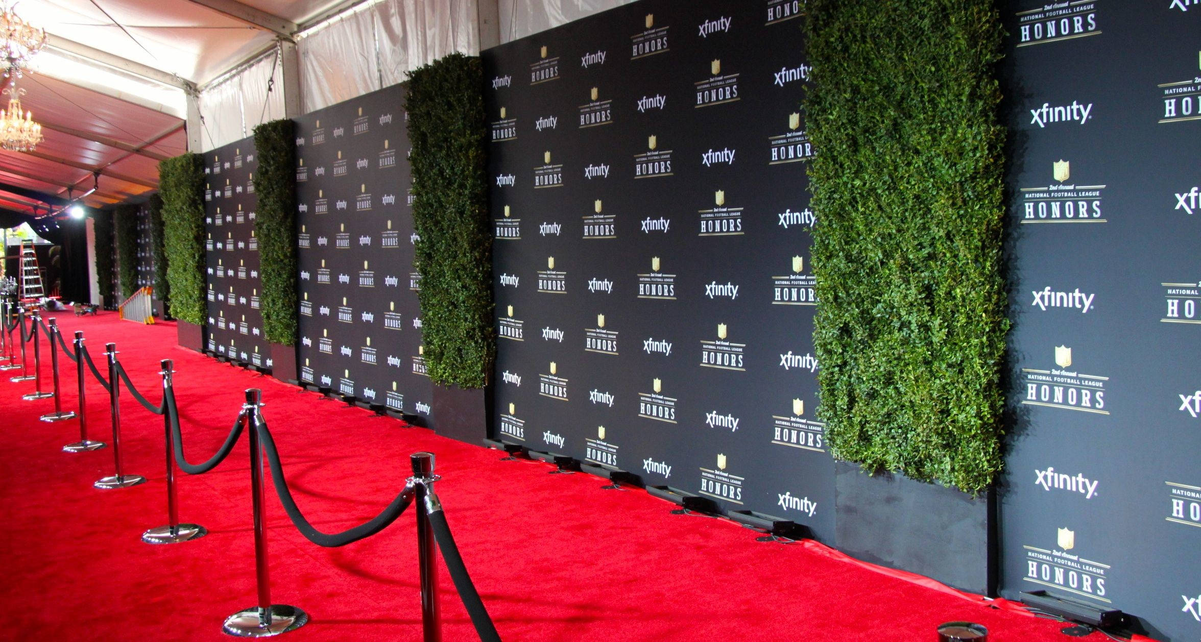 Red Carpet 桌布 壁紙 — 一條充滿活力的紅地毯在明亮的燈光下延伸，旁邊是一面黑色的品牌牆，點綴著綠色的活籬笆。