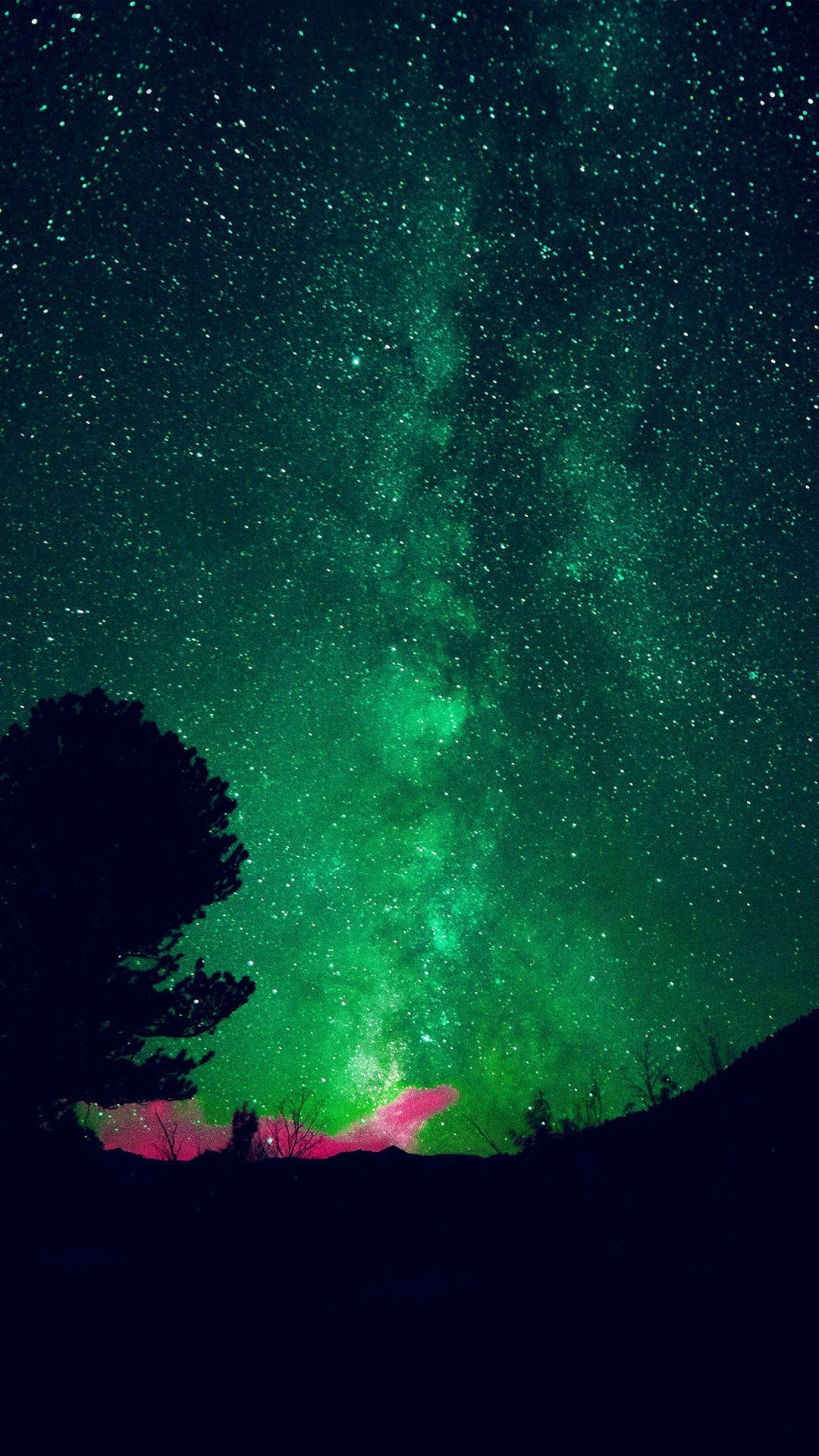 綠色天空 桌布 壁紙 — 一條充滿活力的綠色銀河系在星空下彎曲地橫跨在樹木和山丘的黑暗剪影之上。