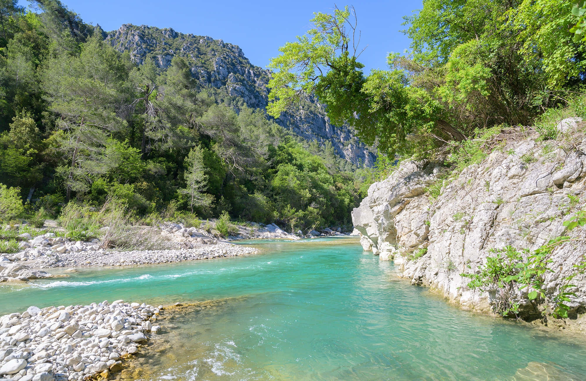 river 桌布 壁紙 — 一條充滿活力的藍綠色河流流經陽光明媚的峽谷，兩旁是岩石峭壁和茂密的綠樹，在清澈的藍天下。