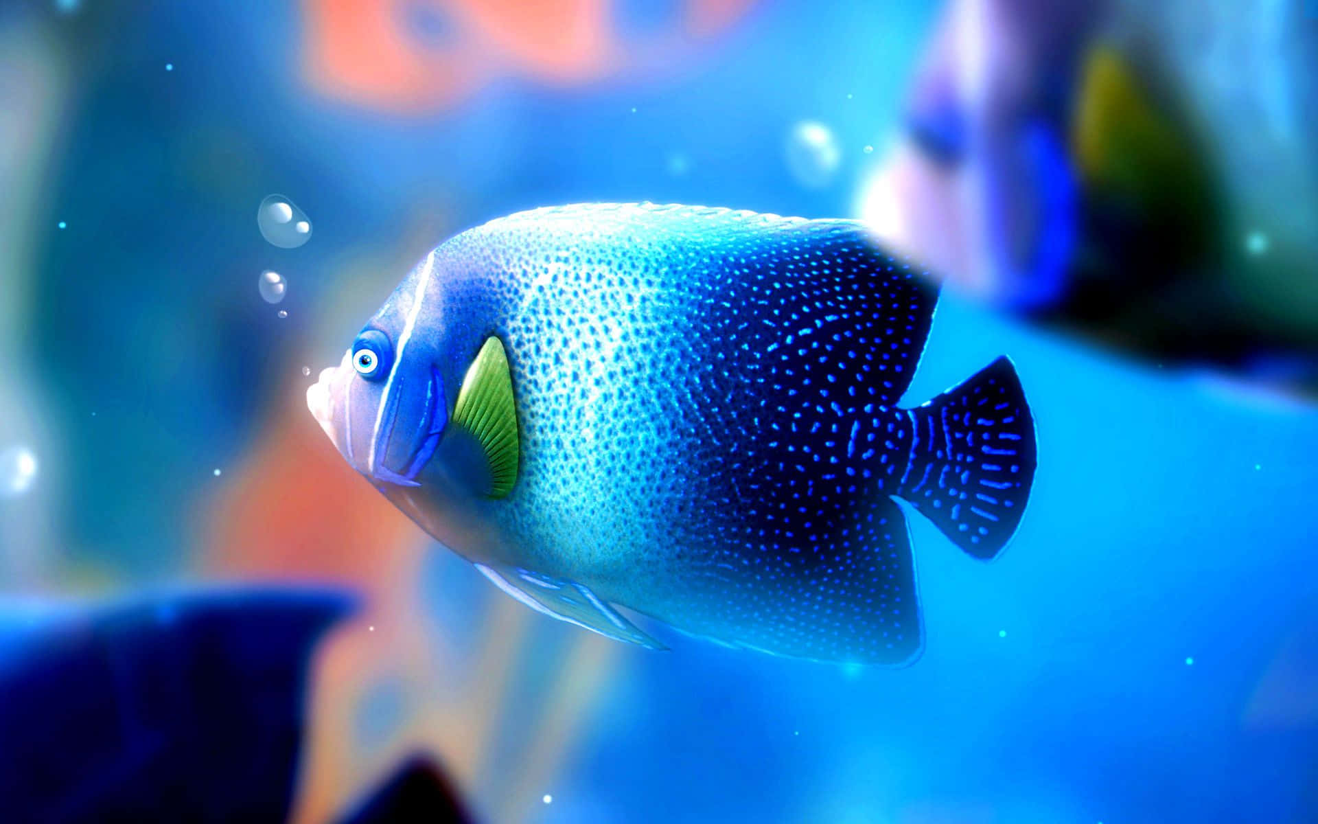HD Fish 桌布 壁紙 — 一條充滿活力的藍色斑點神仙魚在陽光照射的珊瑚礁中優雅地游動，周圍漂浮著氣泡。