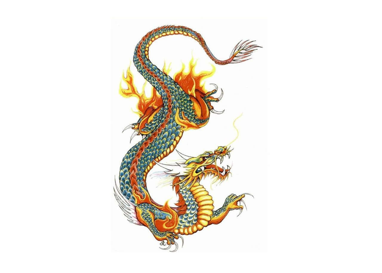 Japanese Tattoo 桌布 壁紙 — 一條充滿活力的雙頭龍，帶有火熱的橙色火焰和青綠色鱗片，在純白色背景上動態盤繞。