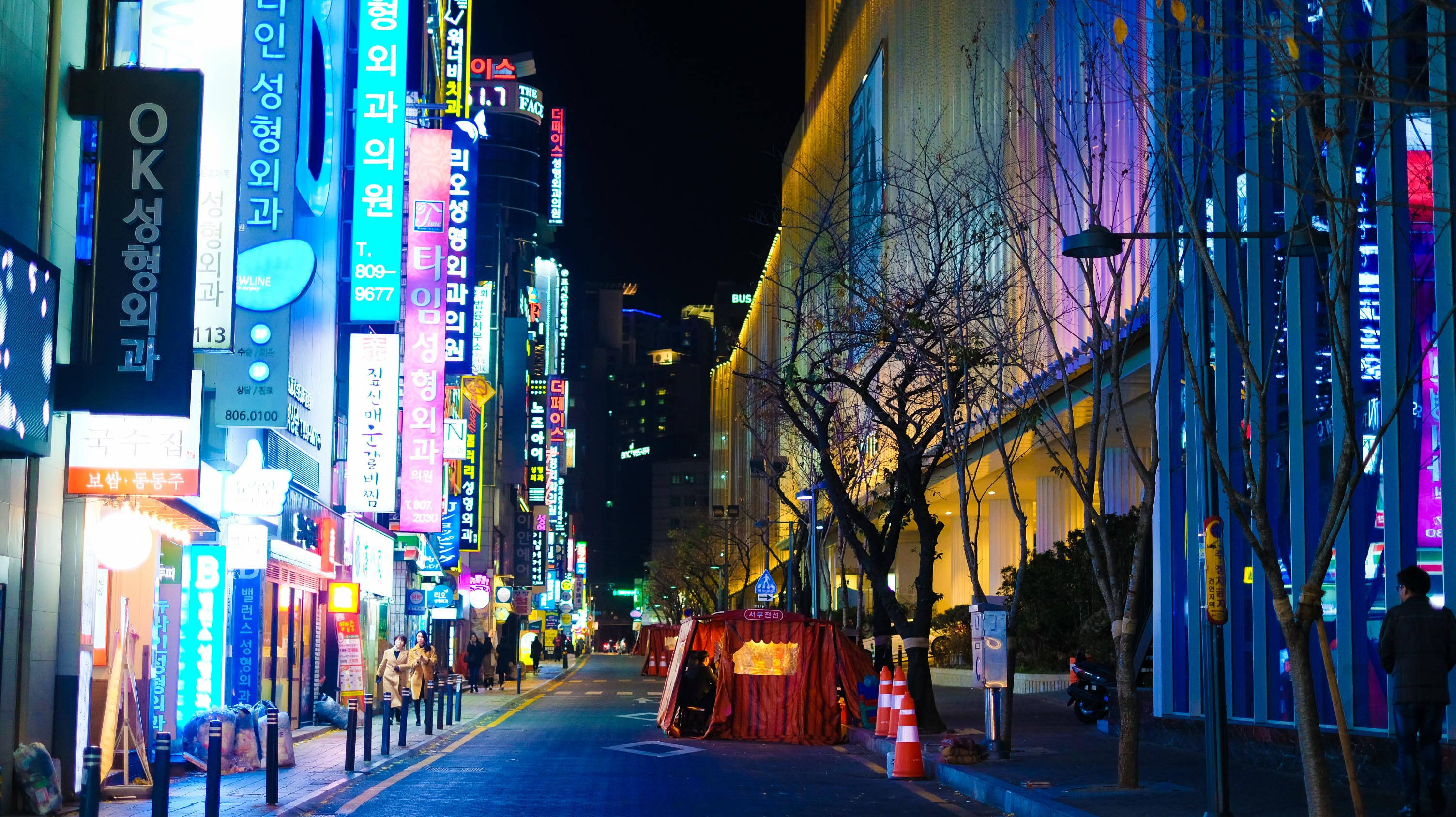 Busan 桌布 壁紙 — 一條充滿活力的霓虹燈城市街道，夜晚有韓文發光招牌和光禿禿的樹木排列在人行道上。