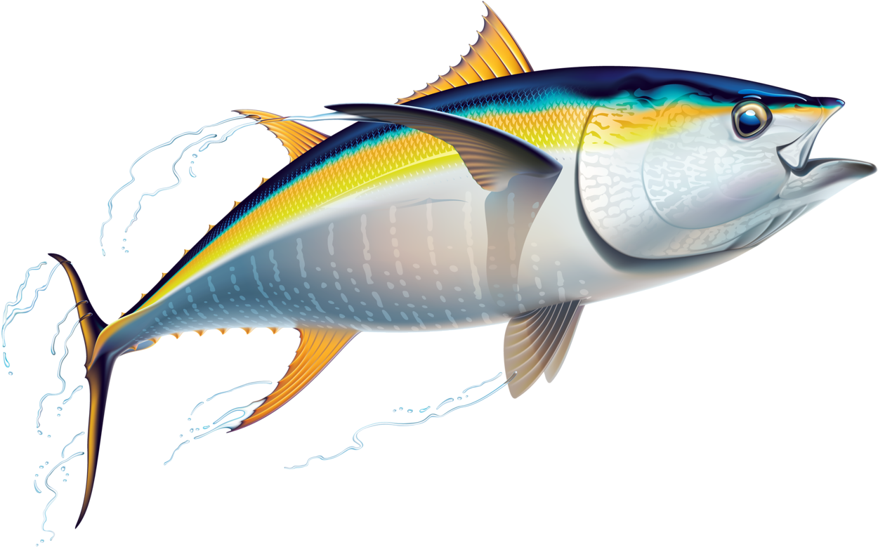 魚 桌布 壁紙 — 一條充滿活力的黃鰭鮪魚在純黑背景下以動態動作躍出水面。