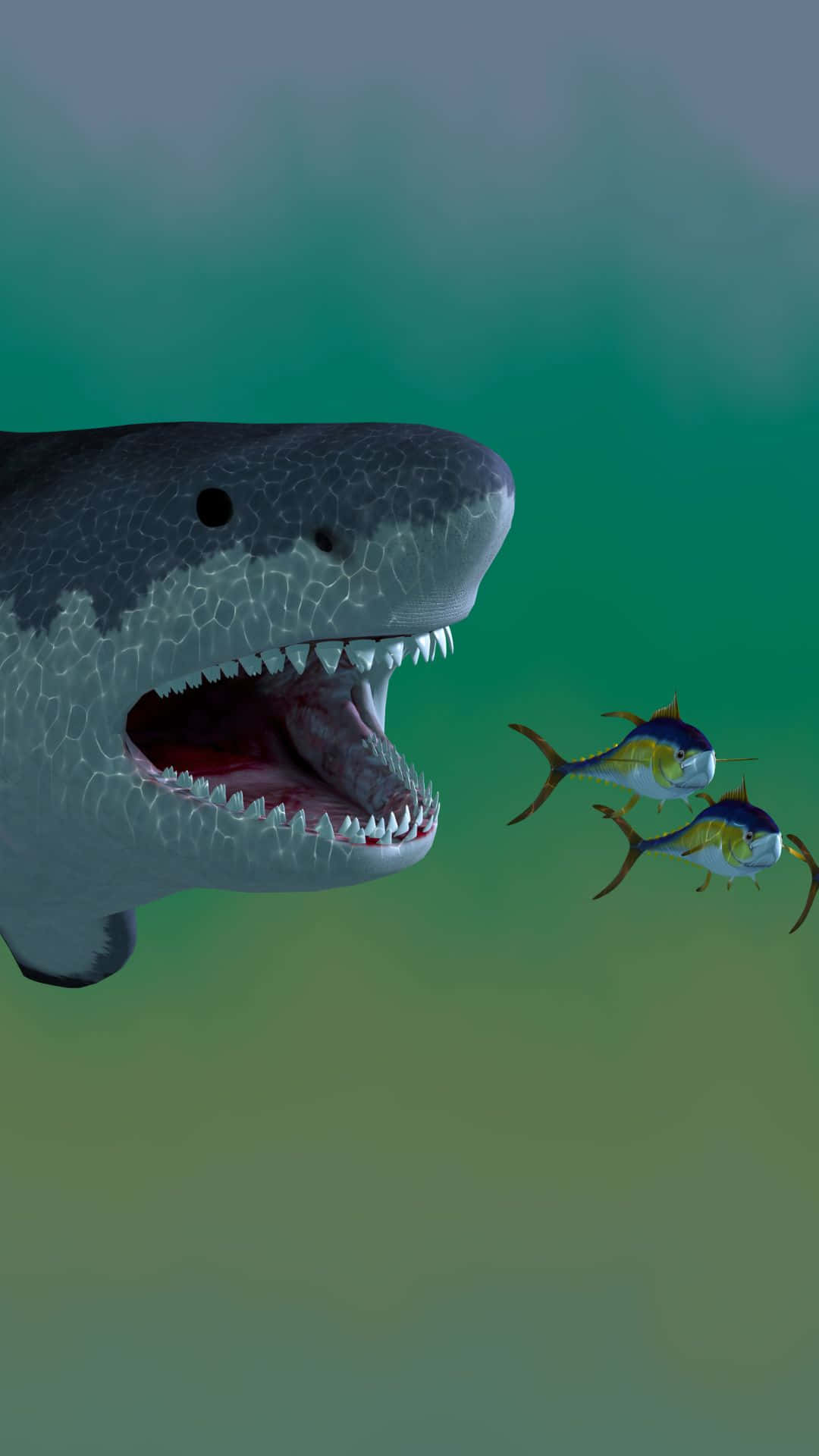 魚 桌布 壁紙 — 一條兇猛的大白鯊向兩條正在逃命的黃鰭鮪魚猛撲過去，在渾濁的綠色海水之中。