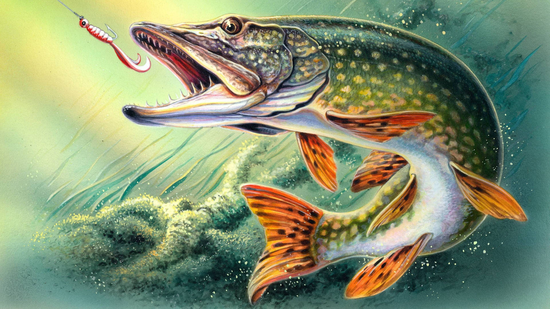魚 桌布 壁紙 — 一條兇猛的白斑狗魚在渾濁的綠色水中撲向紅色魚餌，周圍的水生植物旋轉翻騰。