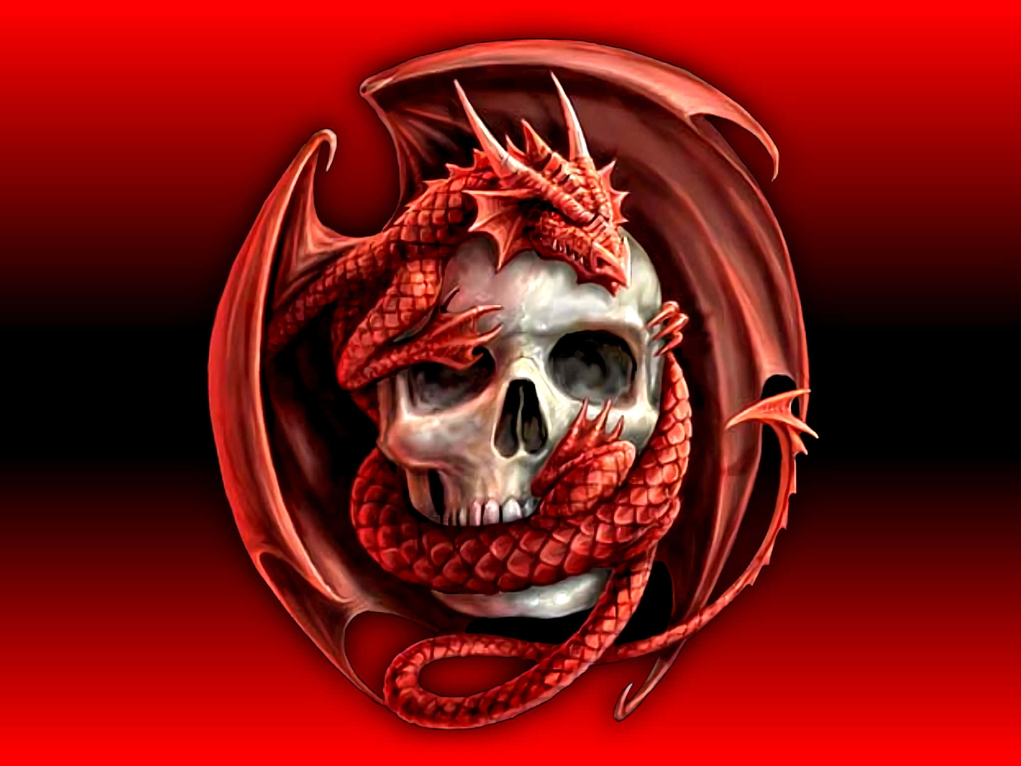 Awesome Skull 桌布 壁紙 — 一條兇猛的紅龍纏繞著一個銀色頭骨，背景是紅黑漸變色。