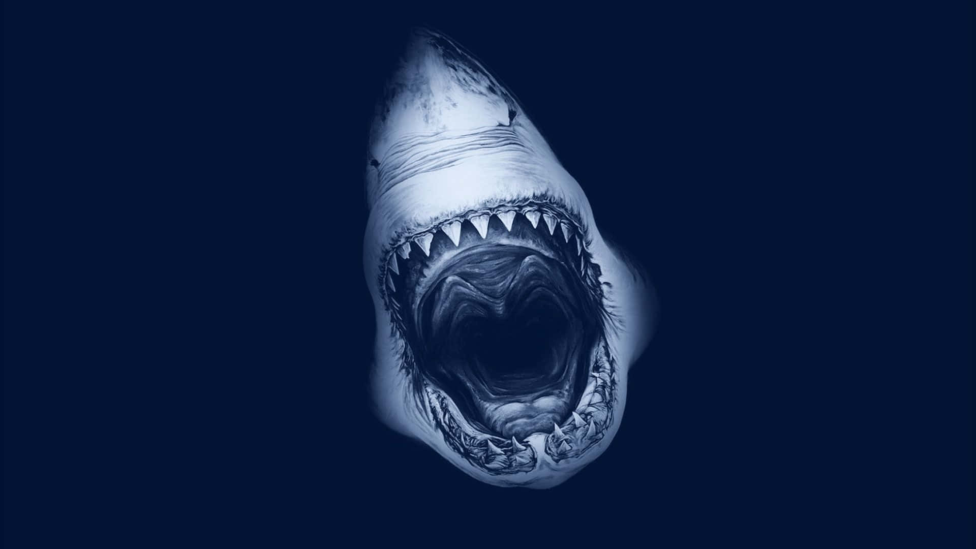 Scary Shark 桌布 壁紙 — 一條兇猛的鯊魚張開滿是尖牙的嘴巴，直視著深藍色背景。