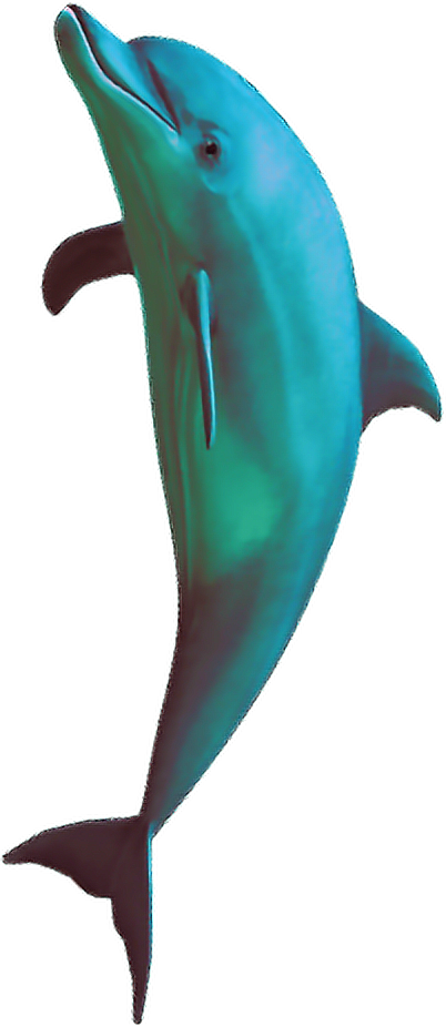 Sea Creature 桌布 壁紙 — 一條光滑的綠松色海豚在純黑背景上優雅躍起，帶有平滑的數位陰影。