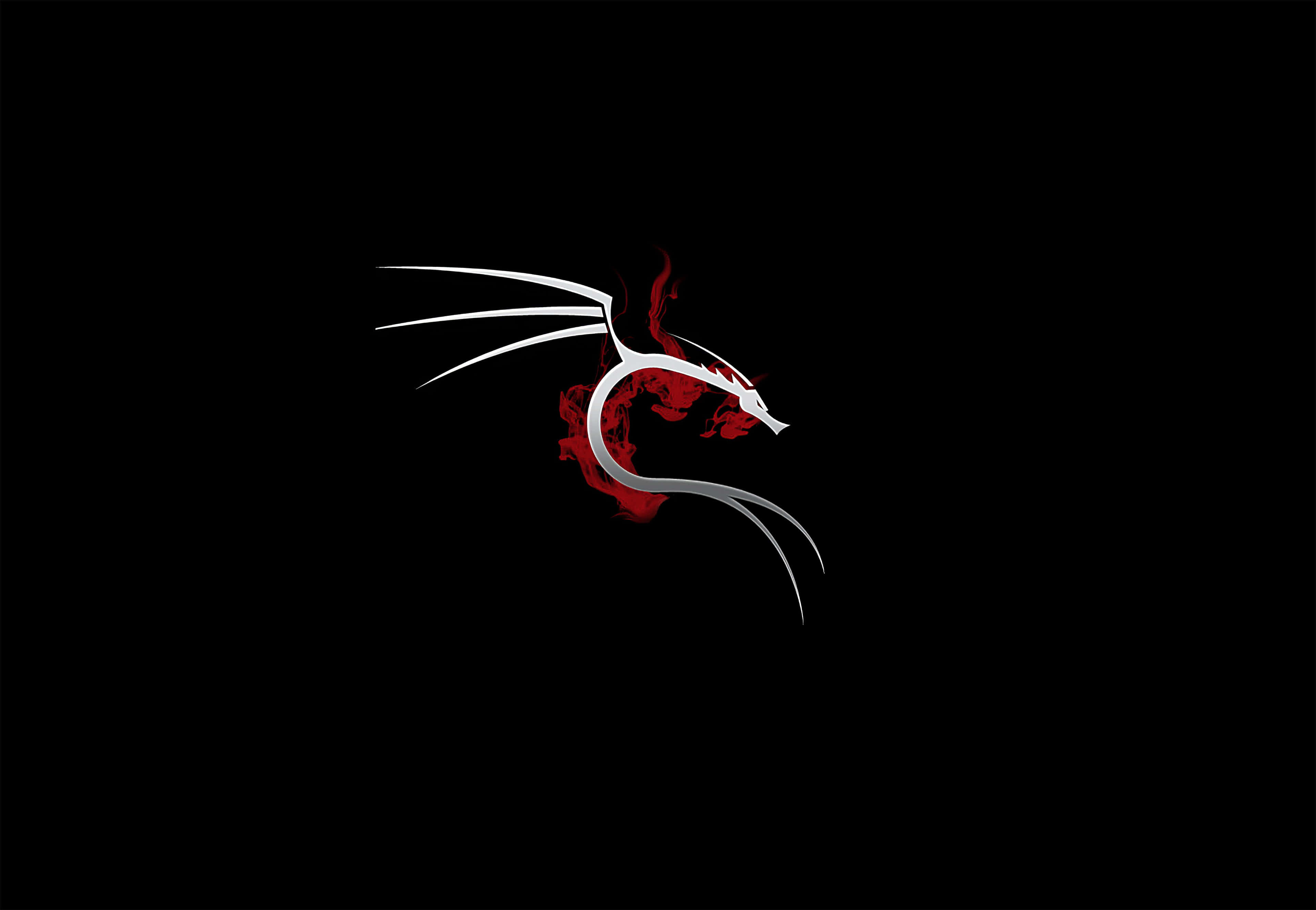Kali Linux 桌布 壁紙 — 一條光滑的銀龍，帶有紅色煙霧漩渦，在純黑色背景上。