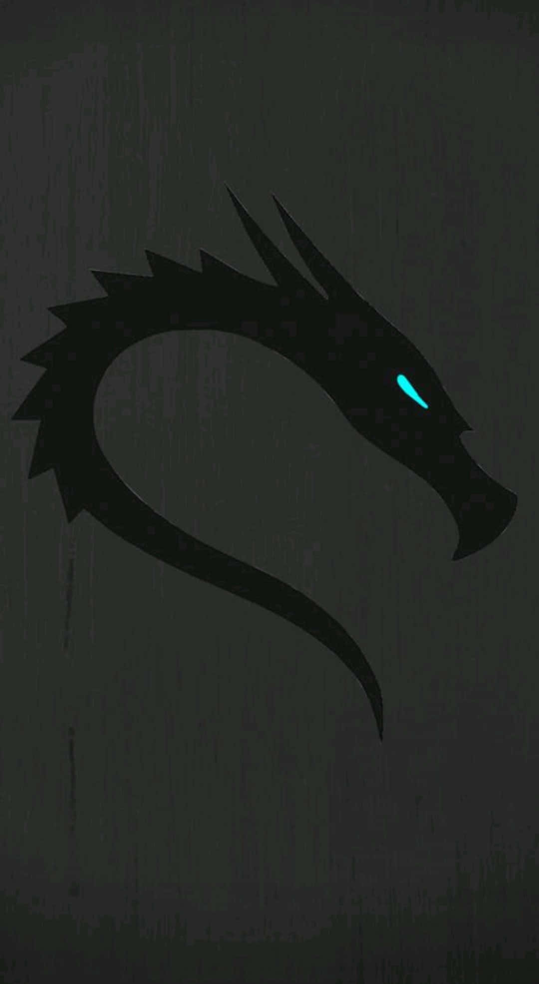 Kali Linux 桌布 壁紙 — 一條光滑的黑色龍剪影，帶有發光的青色眼睛，凝視著深色紋理背景。
