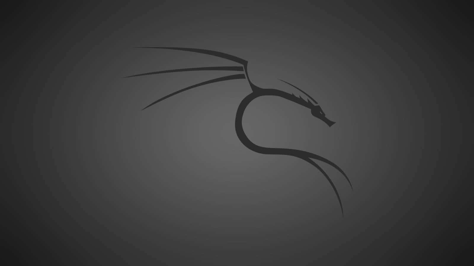 Kali Linux 桌布 壁紙 — 一條光滑的黑色龍剪影在漸變灰色背景上優雅地彎曲。