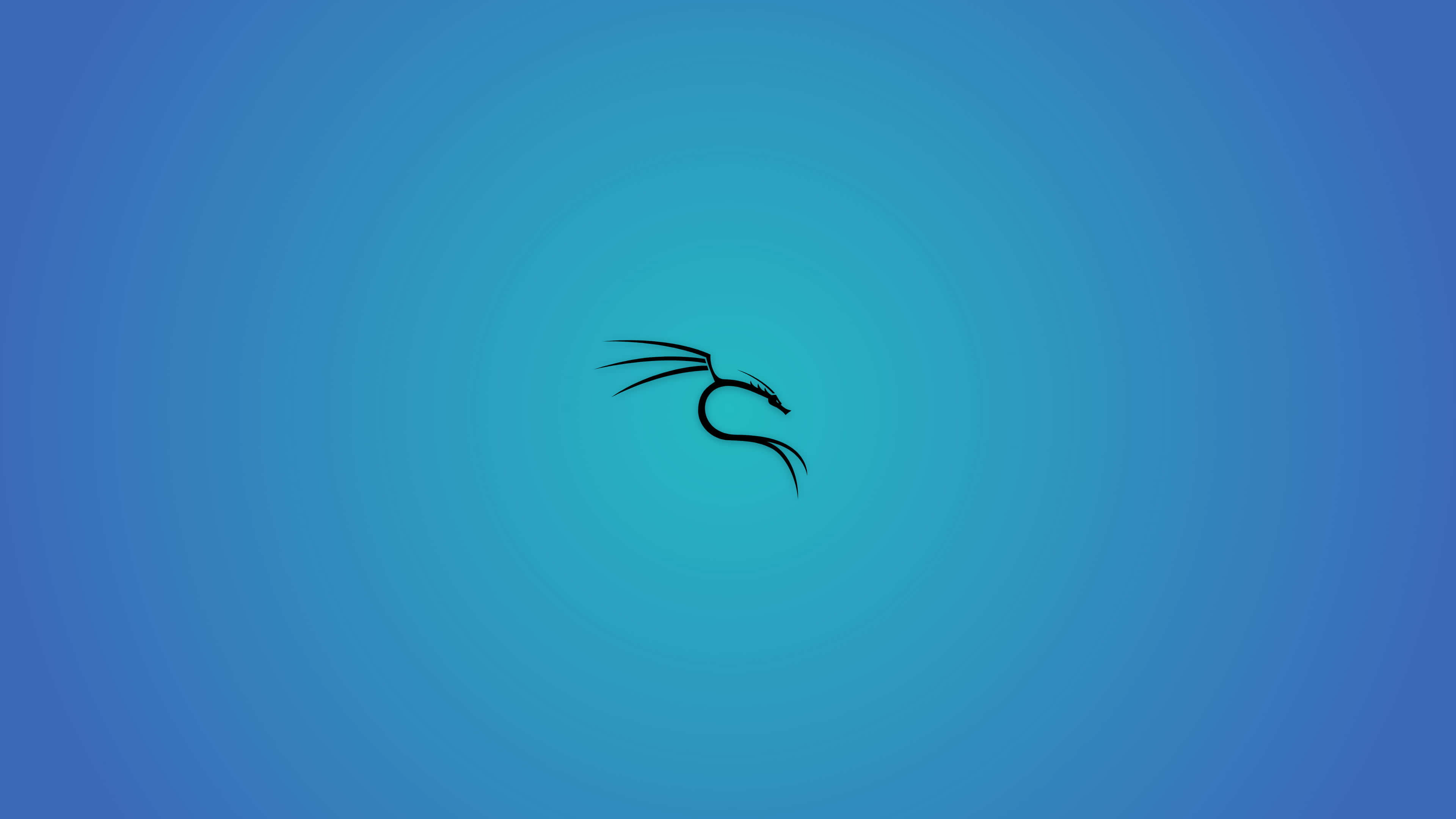 Kali Linux 桌布 壁紙 — 一條光滑的黑色龍剪影在漸變藍色背景上優雅地彎曲。