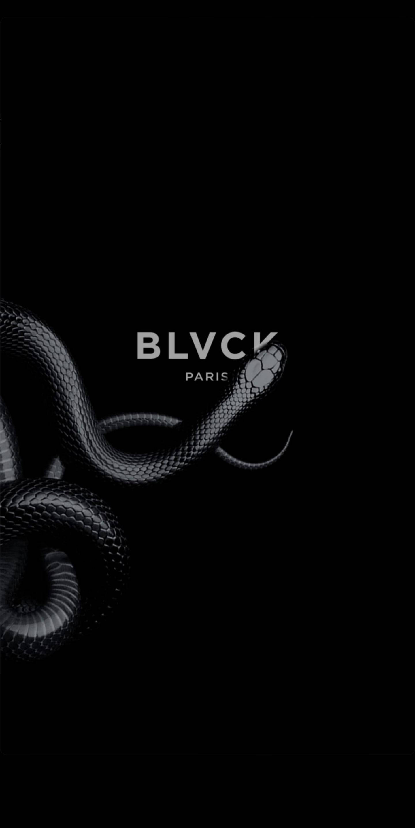 Blvck Paris 桌布 壁紙 — 一條光滑的黑蛇盤繞在純黑色背景上，白色文字寫著 BLVCK PARIS。