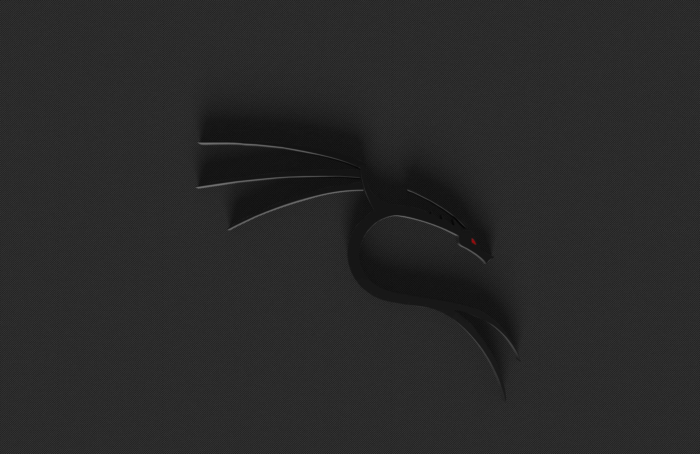Kali Linux 桌布 壁紙 — 一條光滑的黑龍，帶有發光的紅眼睛，在黑暗的紋理表面上休息，投下柔和的陰影。