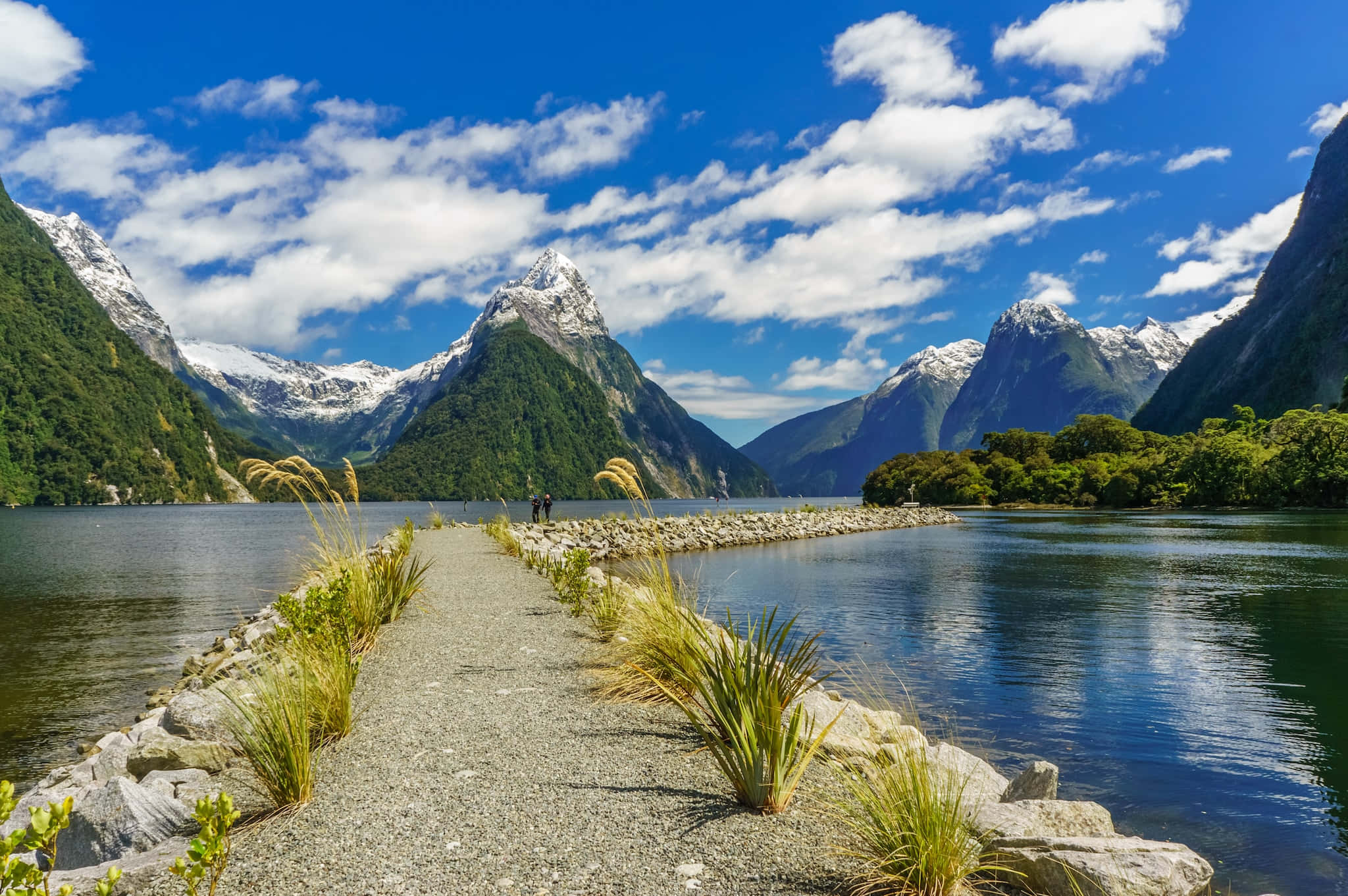 New Zealand 桌布 壁紙 — 一條兩旁長滿草的石子路，通向在明亮天空下平靜藍色湖泊中倒映的雪山。
