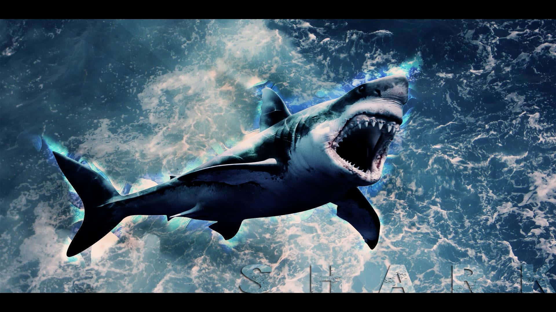 Cool Shark 桌布 壁紙 — 一條具威脅性的大白鯊衝破洶湧的藍色海浪，張開的顎部周圍閃爍著電光藍色的能量。
