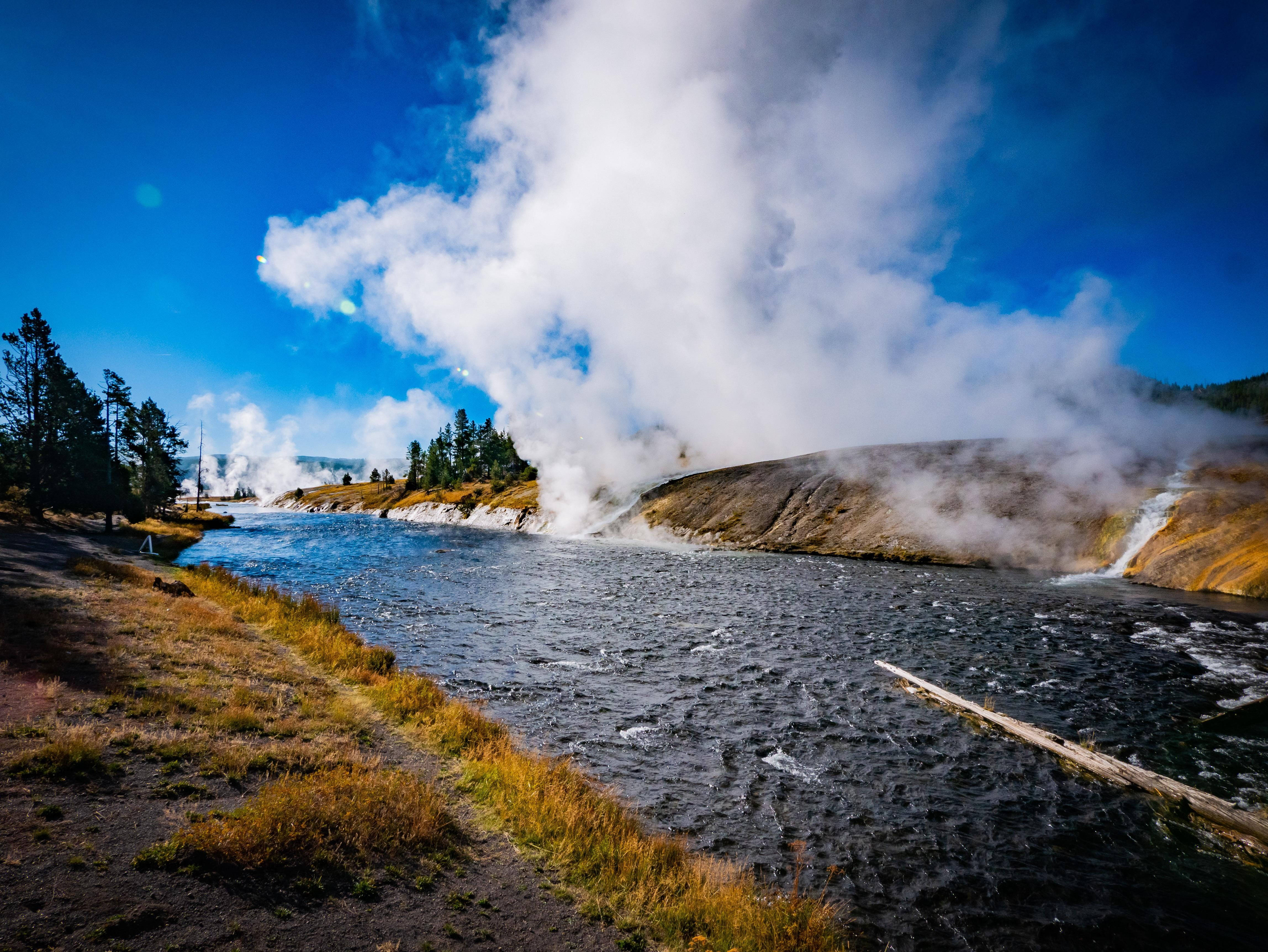 Yellowstone 桌布 壁紙 — 一條冒著蒸汽的地熱河流流經崎嶇的地貌，在清澈的藍天下，松樹排列在河岸兩旁。
