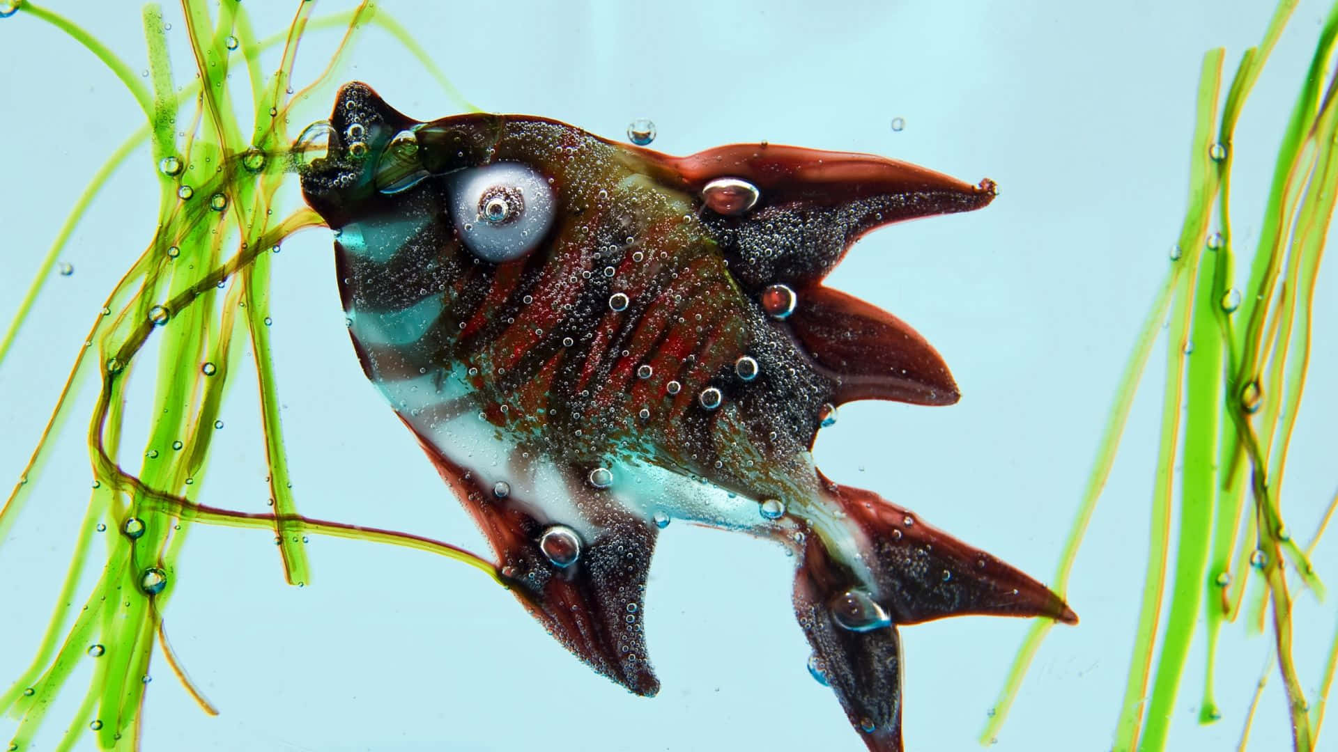 3d Fish 桌布 壁紙 — 一條半透明玻璃魚，有紅色魚鰭和大眼睛，在綠色海藻間游動，周圍有氣泡漂浮。