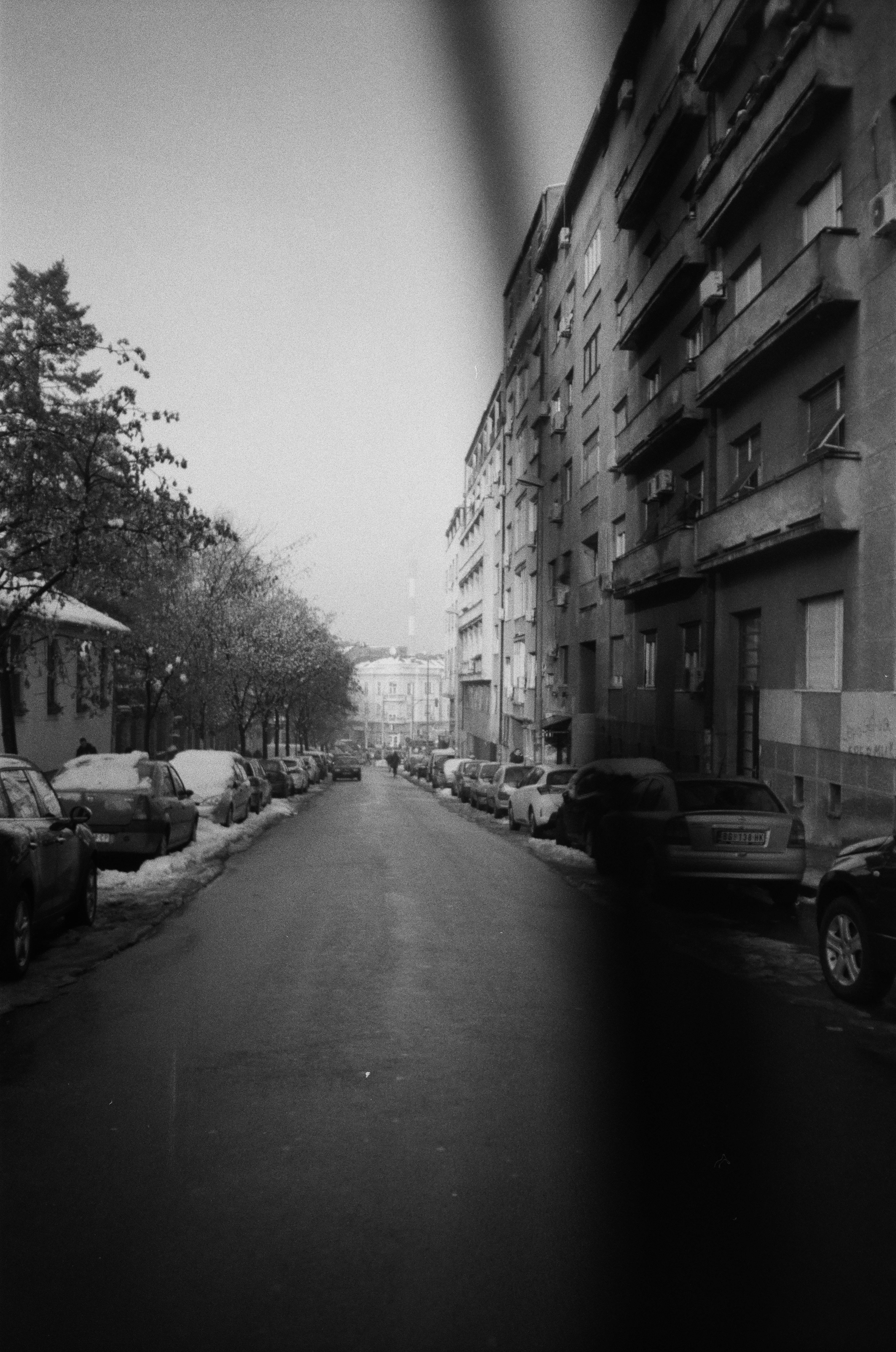 Serbia 桌布 壁紙 — 一條單色城市街道，兩旁停滿汽車，樹木覆蓋著薄雪，天空陰沉冬日。