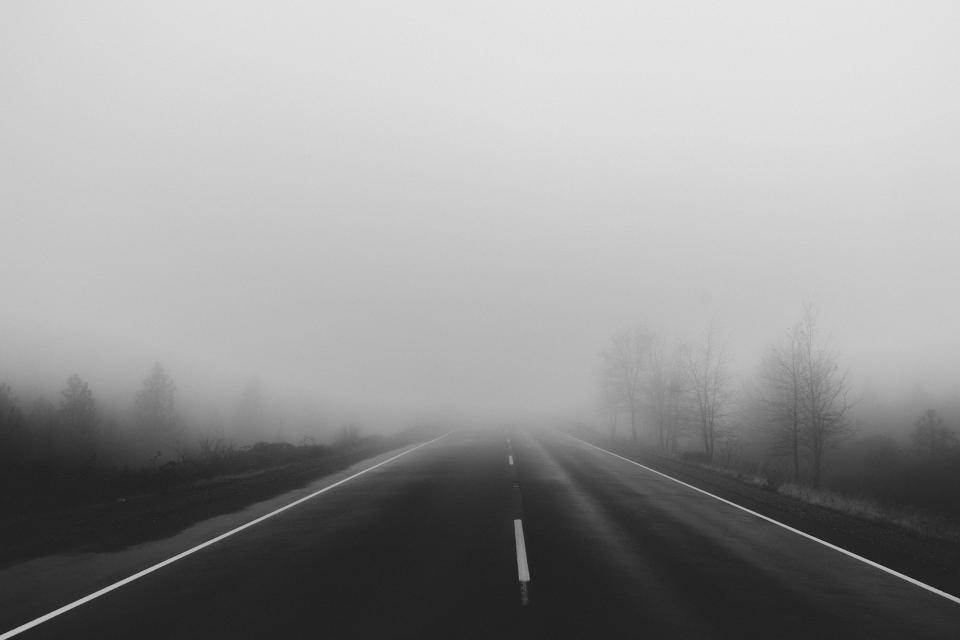 Black And Grey iPhone 桌布 壁紙 — 一條單色高速公路消失在濃霧中，光禿禿的樹木排列在霧濛濛的兩側。