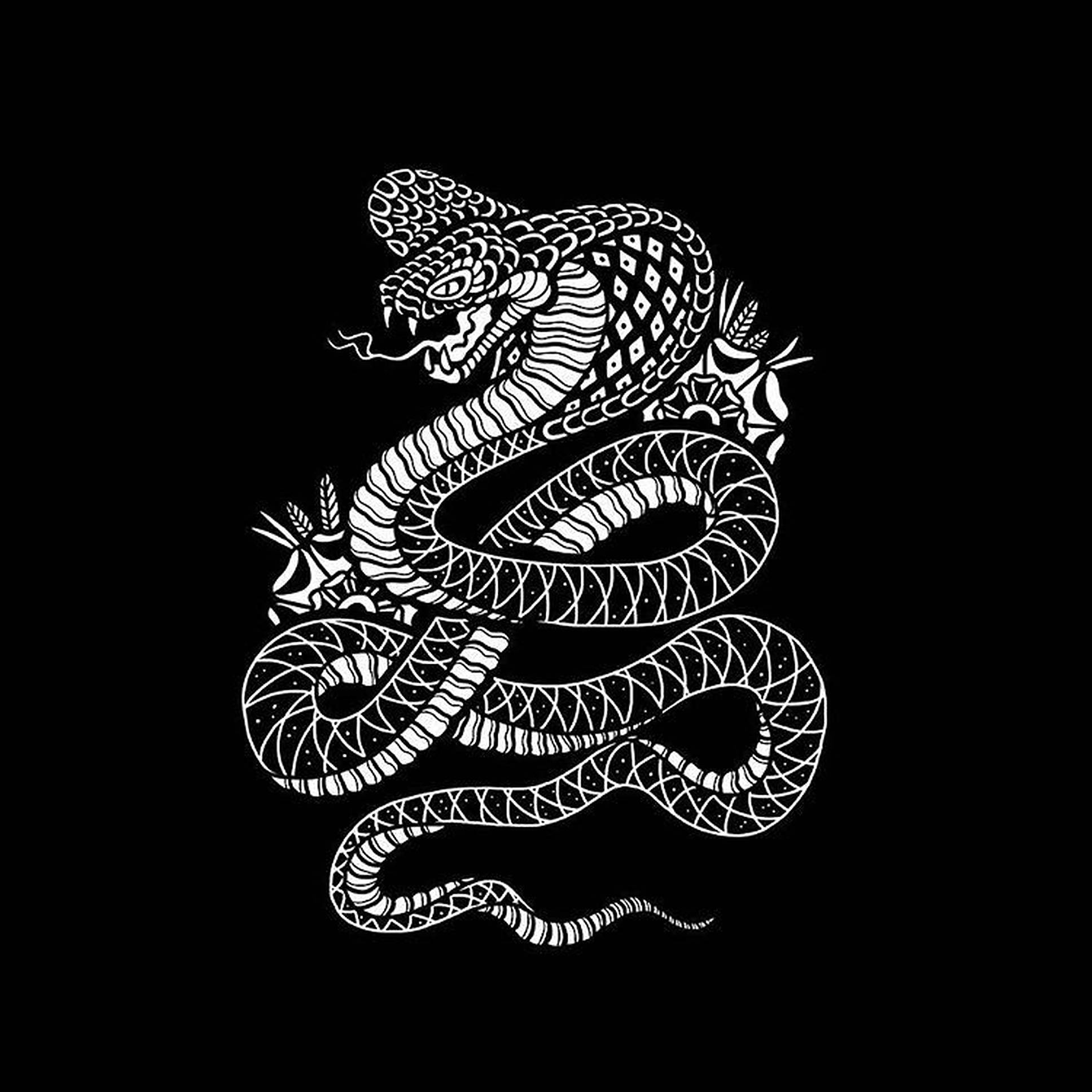 眼鏡王蛇 桌布 壁紙 — 一條圖案複雜的白色眼鏡蛇盤繞著，準備在純黑背景上發動攻擊。