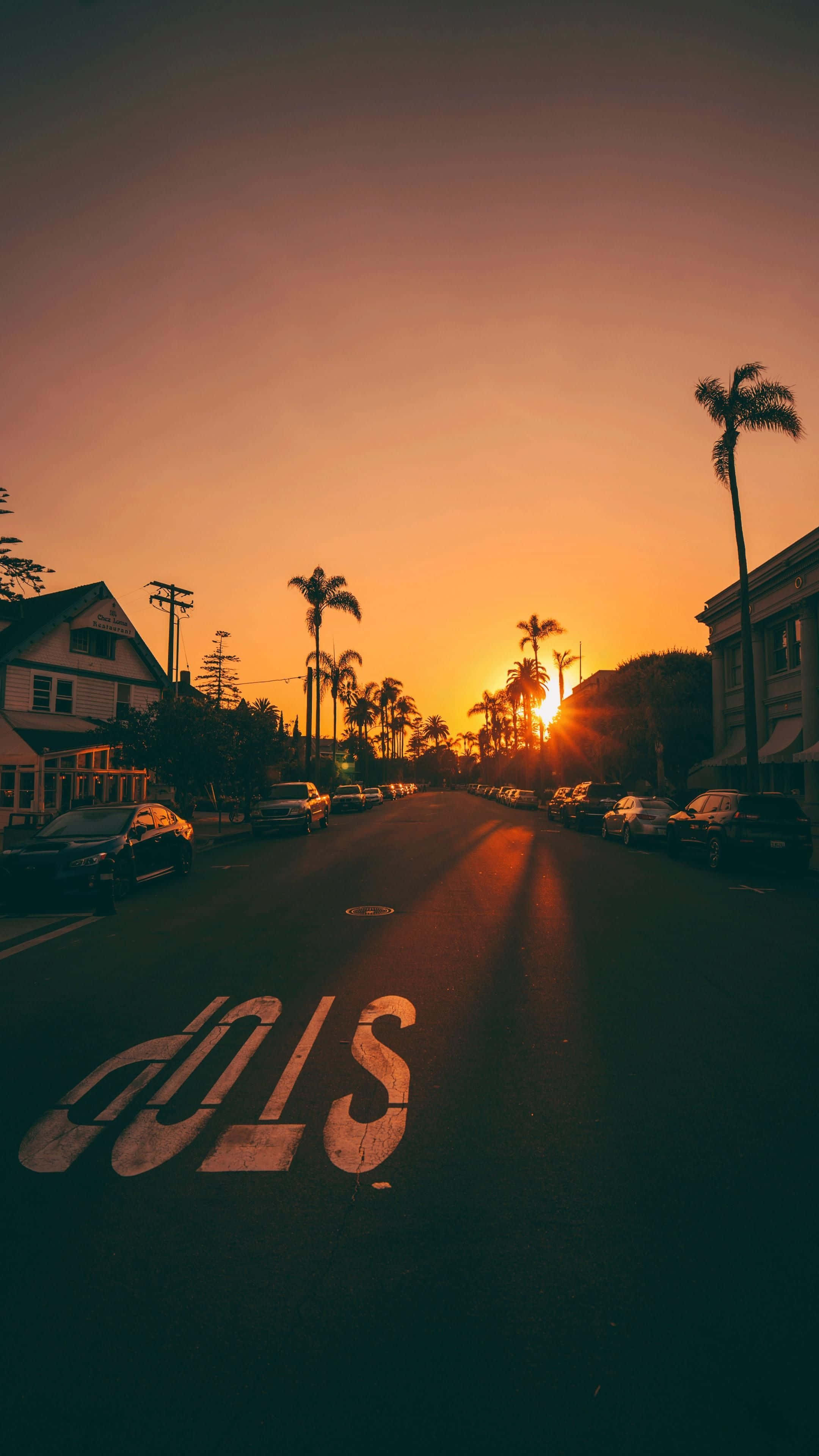 San Diego iPhone 桌布 壁紙 — 一條在日落時分陽光普照的街道，棕櫚樹排列在路邊，瀝青上畫著一個褪色的停車標誌。