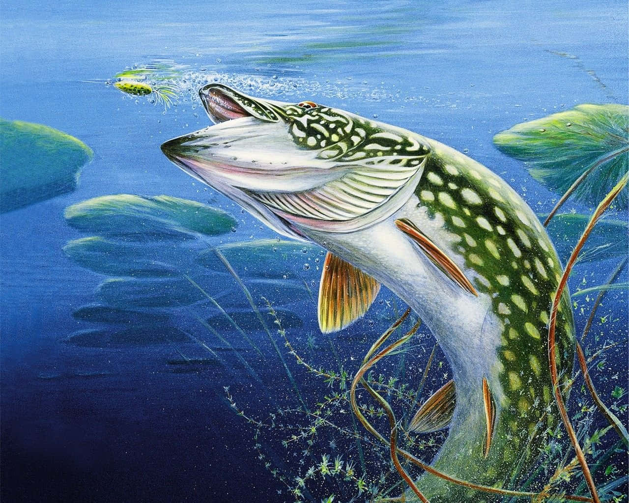 Fish Desktop 桌布 壁紙 — 一條塗色的梭子魚從深藍色水中躍起，在睡蓮和水生植物附近捕捉青蛙。