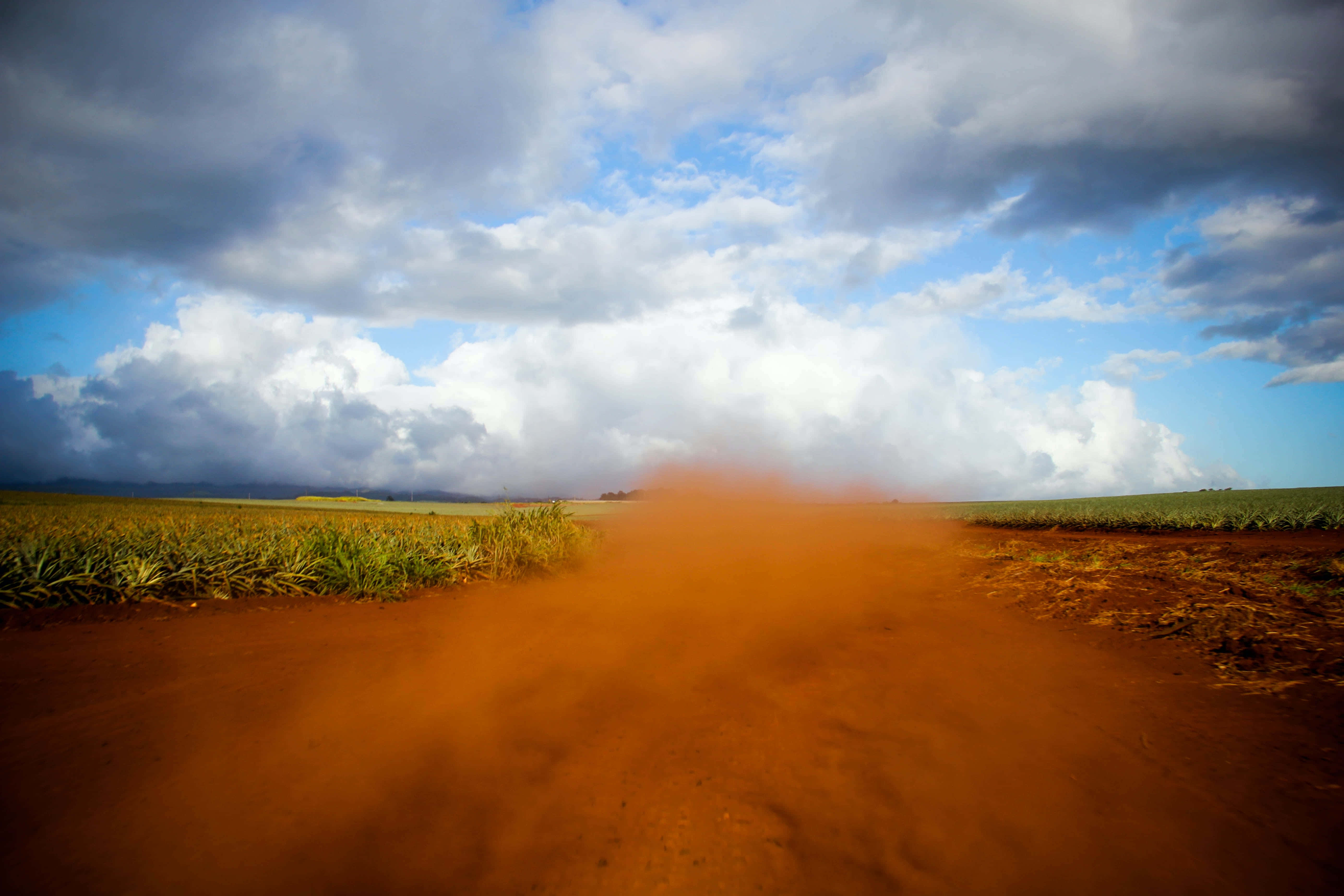 Dust 桌布 壁紙 — 一條塵土飛揚的橙色泥路穿過廣闊的綠色田野，天空佈滿戲劇性的雲層。
