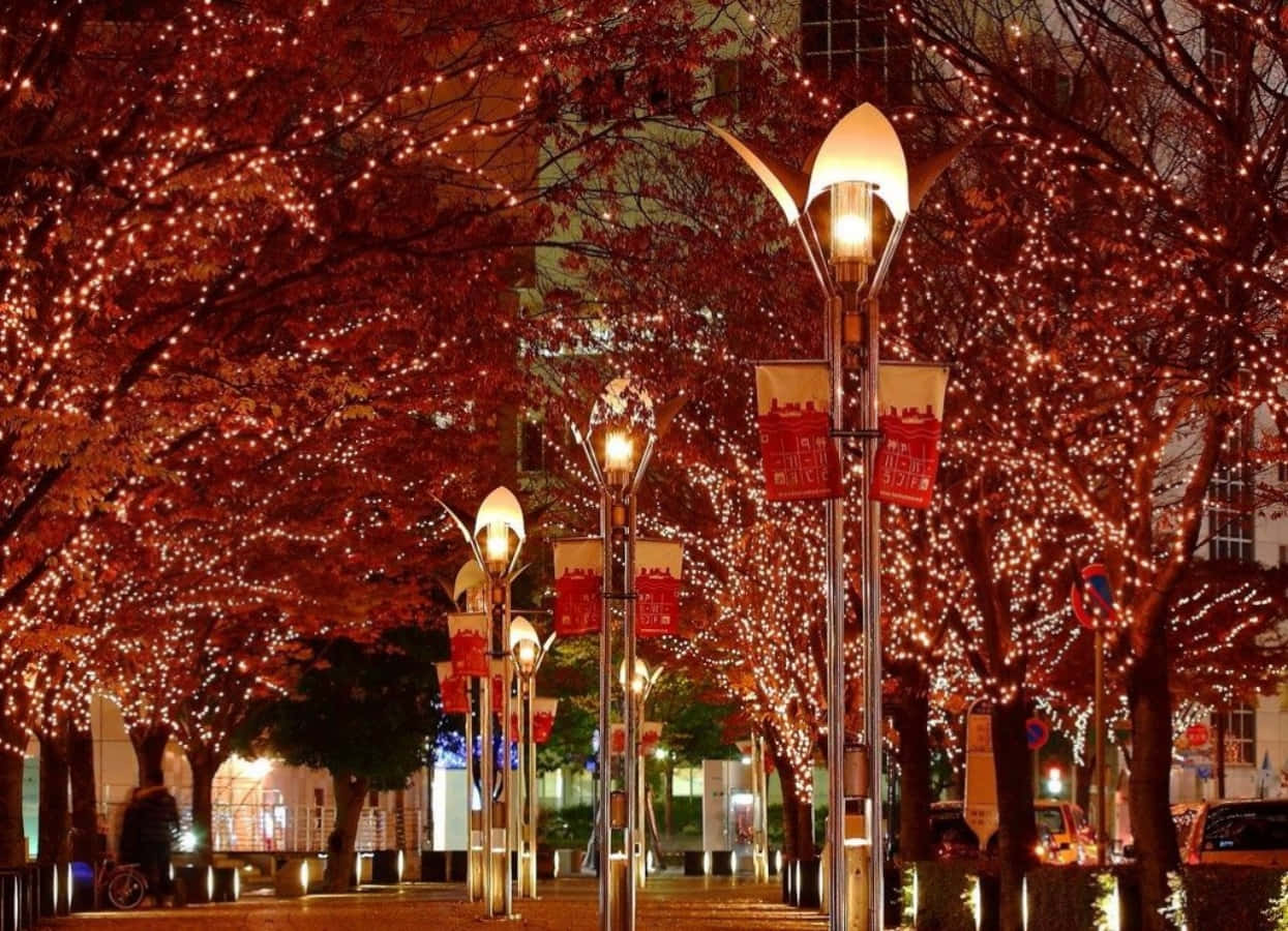 trees 桌布 壁紙 — 一條夜間城市街道，兩旁樹木掛滿溫暖的童話燈，在鋪砌的人行道上形成發光的樹冠。