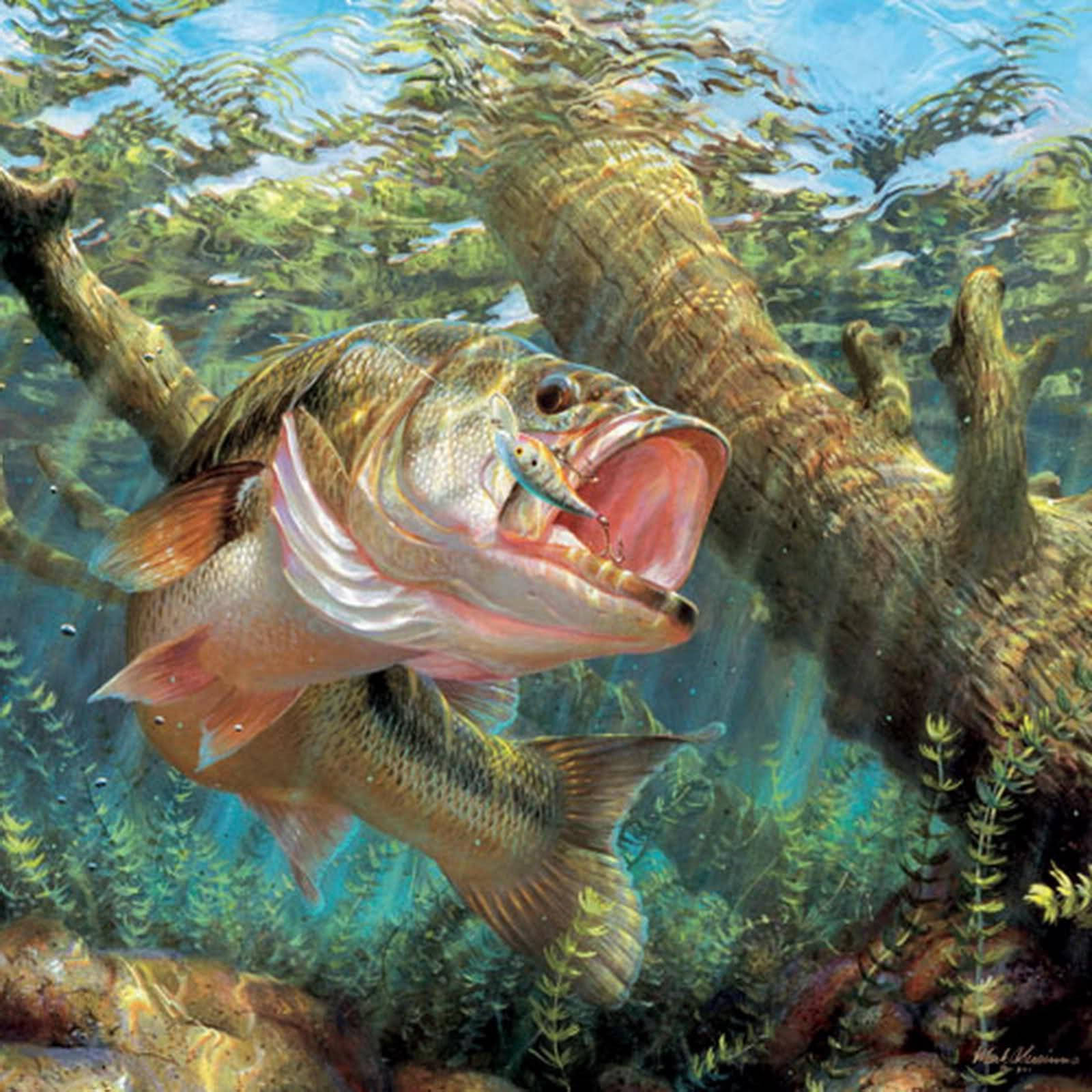 水下動畫 桌布 壁紙 — 一條大口鱸魚在水下猛衝，在陽光照射的沉沒木頭和綠色水生植物附近捕捉一條小魚。