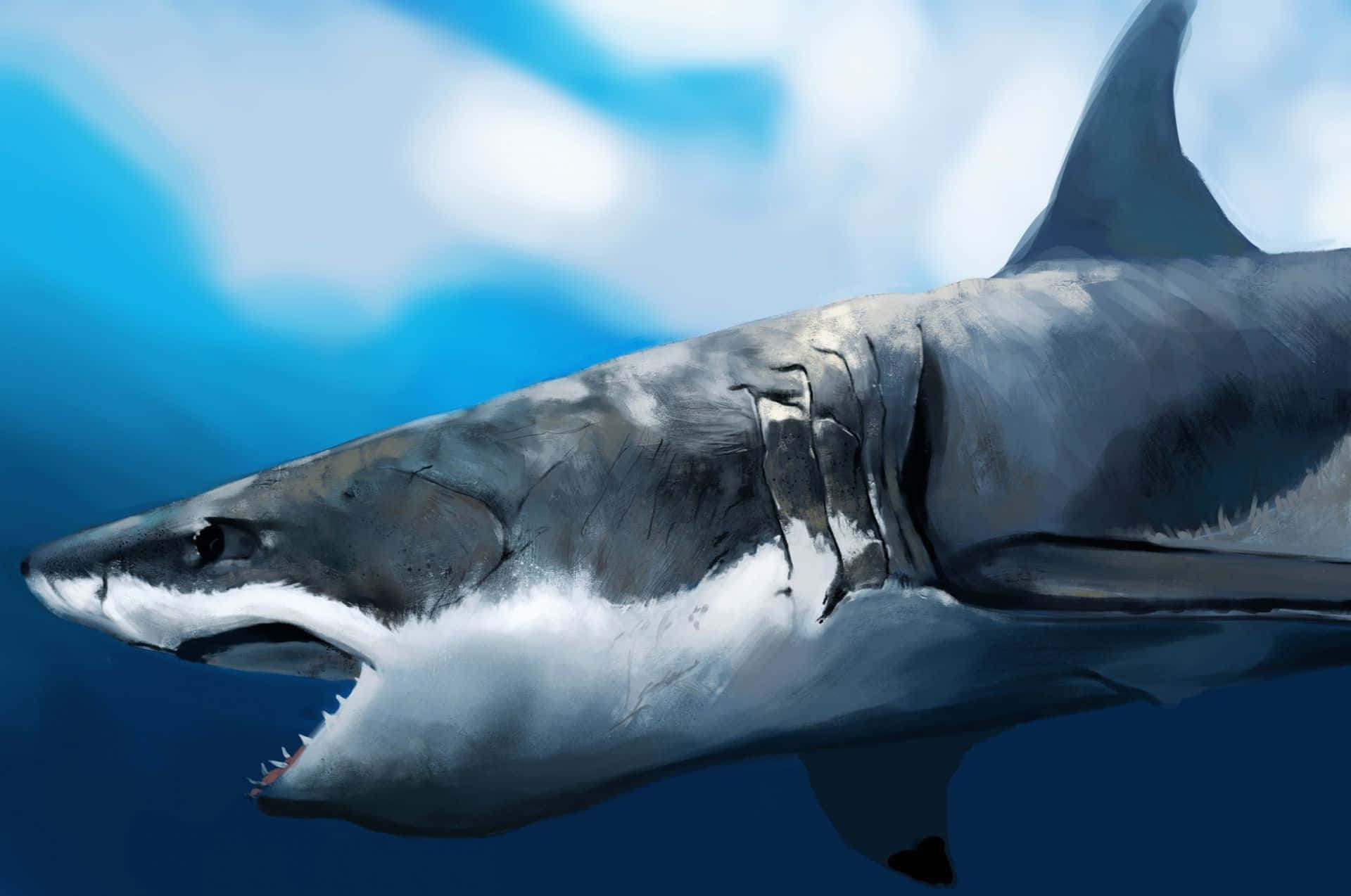 Scary Shark 桌布 壁紙 — 一條大白鯊張開下顎，在明亮的天空下於深藍色海洋中游動。