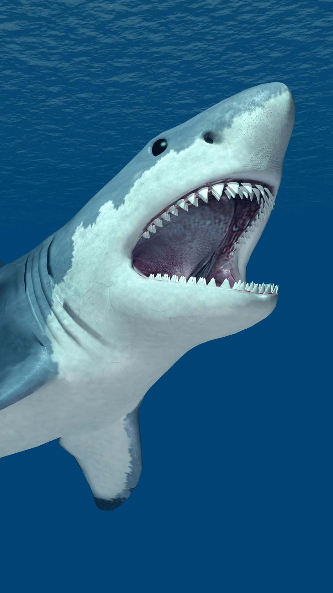 Cool Shark 桌布 壁紙 — 一條大白鯊張開嘴巴露出鋒利牙齒，在深藍色海洋中游動。