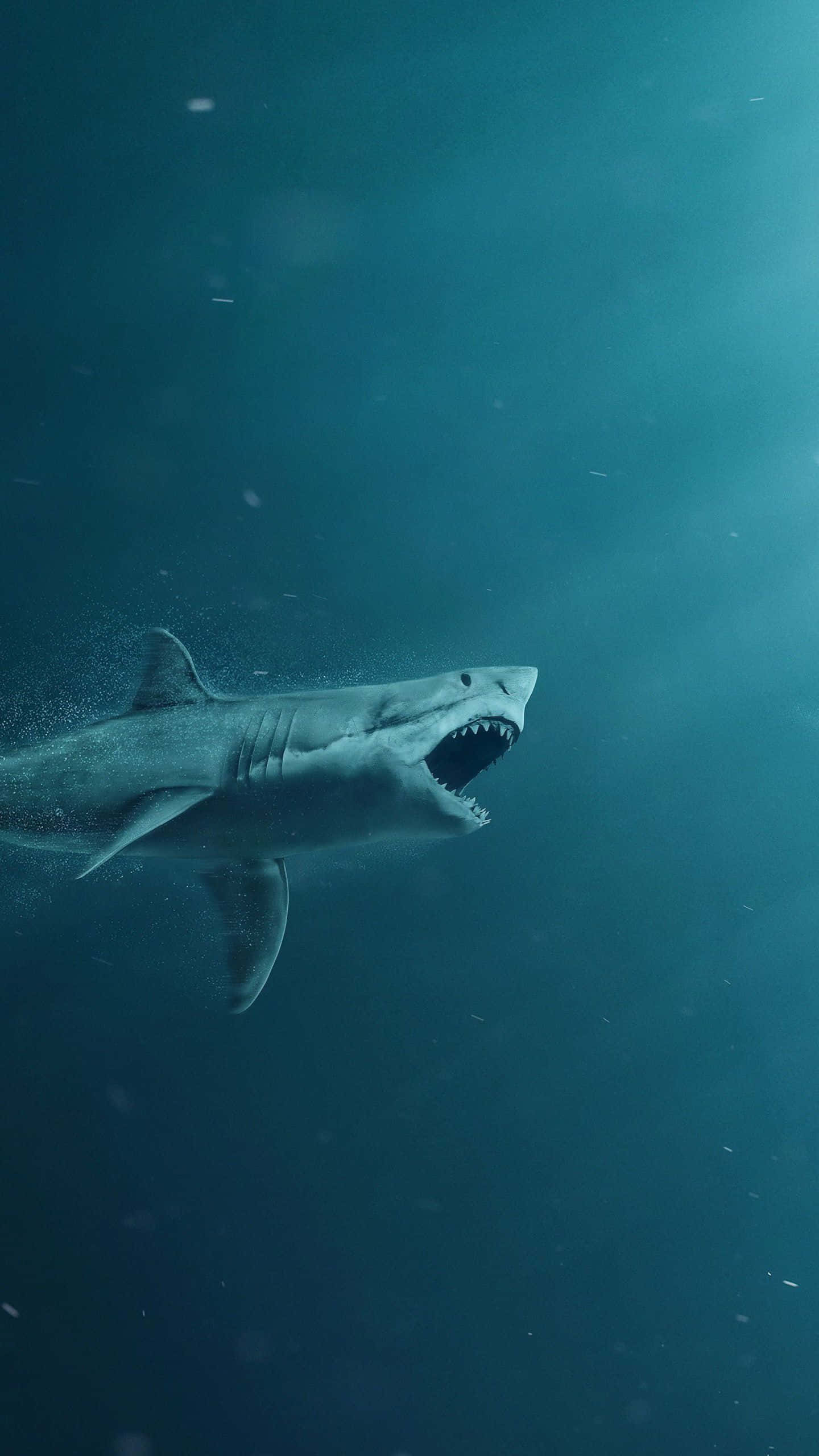 Shark iPhone 桌布 壁紙 — 一條大白鯊張開血盆大口，強而有力地游過渾濁的藍色海水。