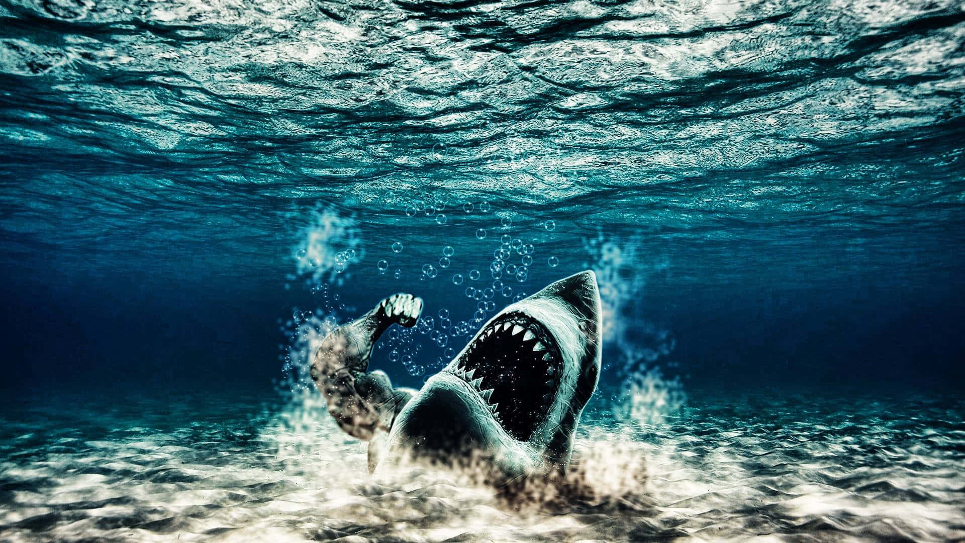 Scary Shark 桌布 壁紙 — 一條大白鯊從深藍色的海水中向上衝出，攻擊接近水面的泳客。