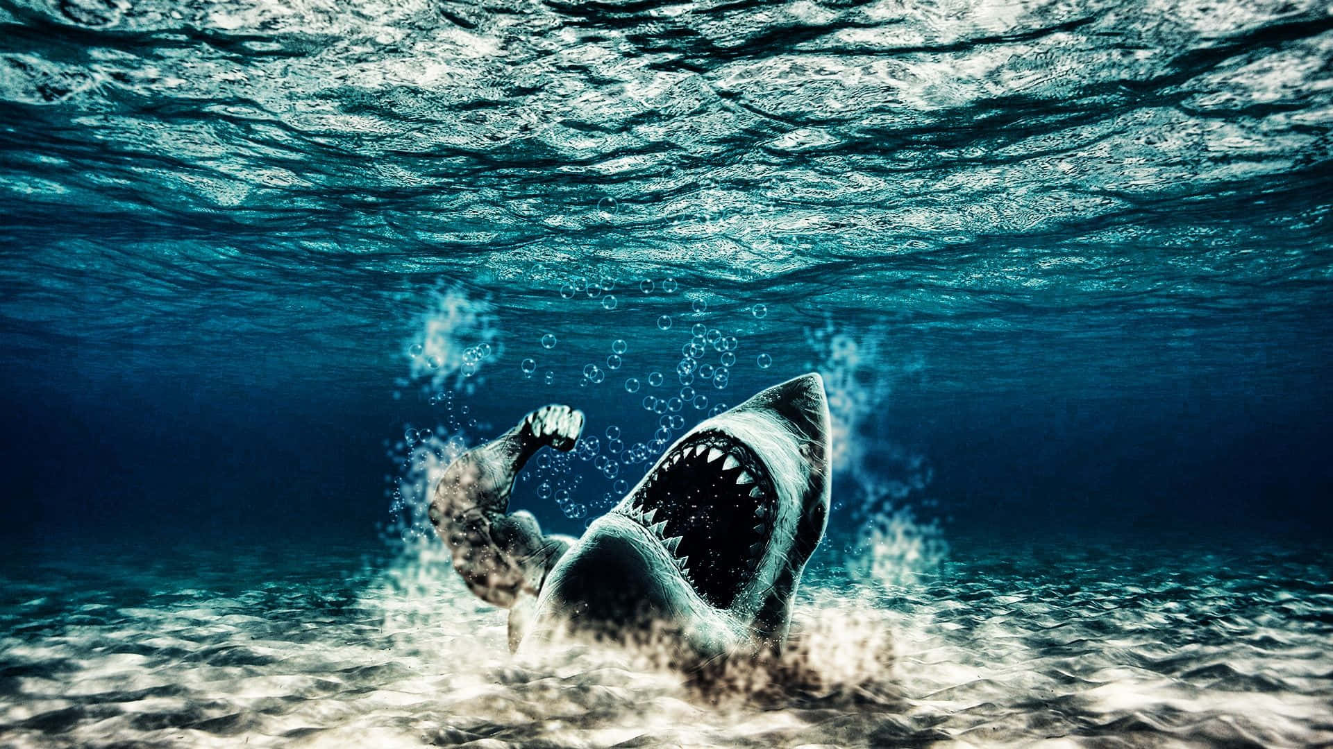 Scary Shark 桌布 壁紙 — 一條大白鯊從深藍色的海洋水中向上猛衝，攻擊接近水面的泳客。