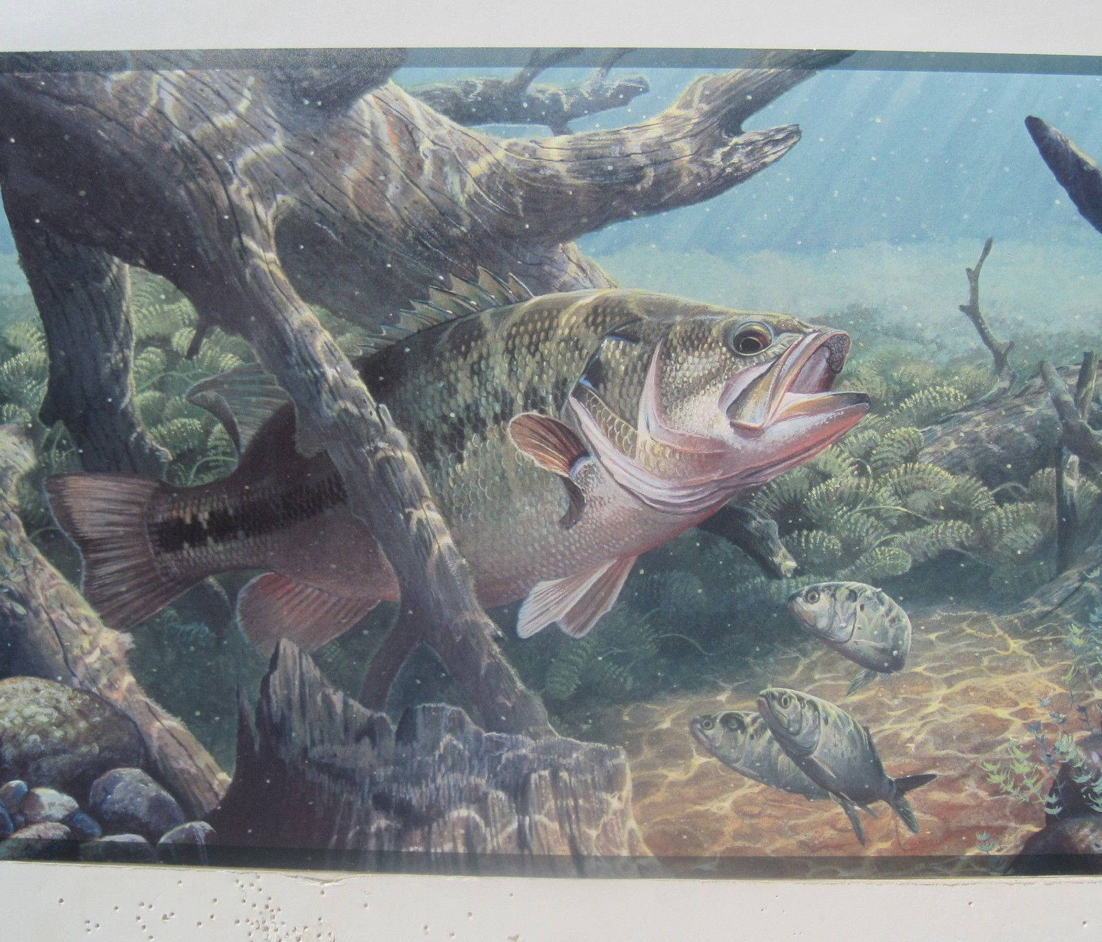 Bass Fishing 桌布 壁紙 — 一條大鱸魚在清澈藍色水中的沉木和岩石附近游泳，附近還有小魚。