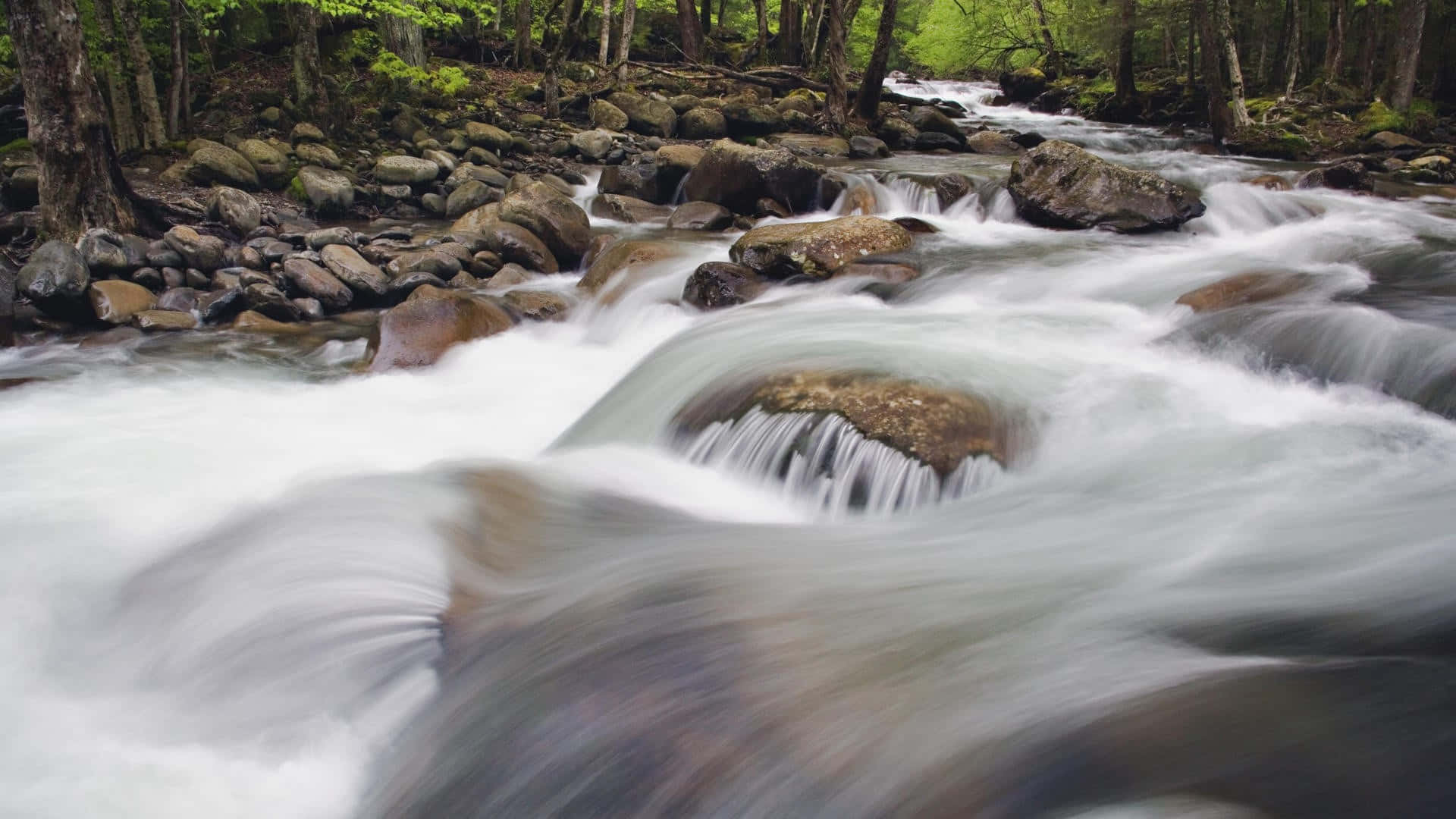 river 桌布 壁紙 — 一條奔騰的山間溪流在茂密的綠色森林中流過長滿苔蘚的岩石，水流模糊。