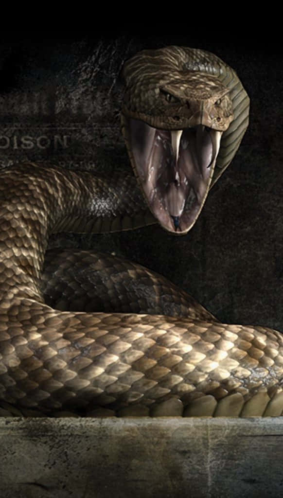 Rattlesnake 桌布 壁紙 — 一條威脅性的眼鏡蛇，張開頭罩，露出毒牙，在深色紋理背景上強烈凝視。