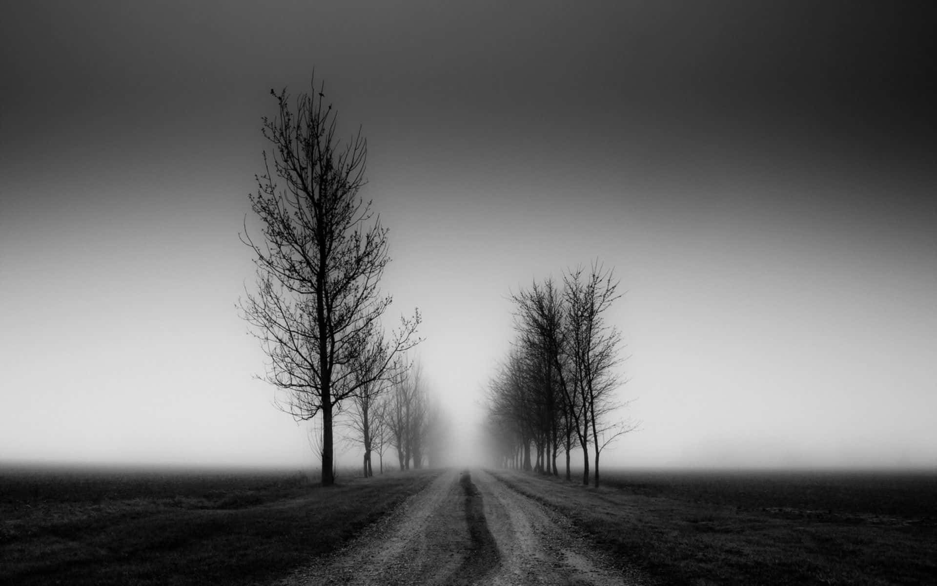 Black And White Landscape 桌布 壁紙 — 一條孤獨的泥土路延伸進灰濛濛的迷霧中，兩旁是光禿禿的樹木，構成單色調的嚴峻景觀。