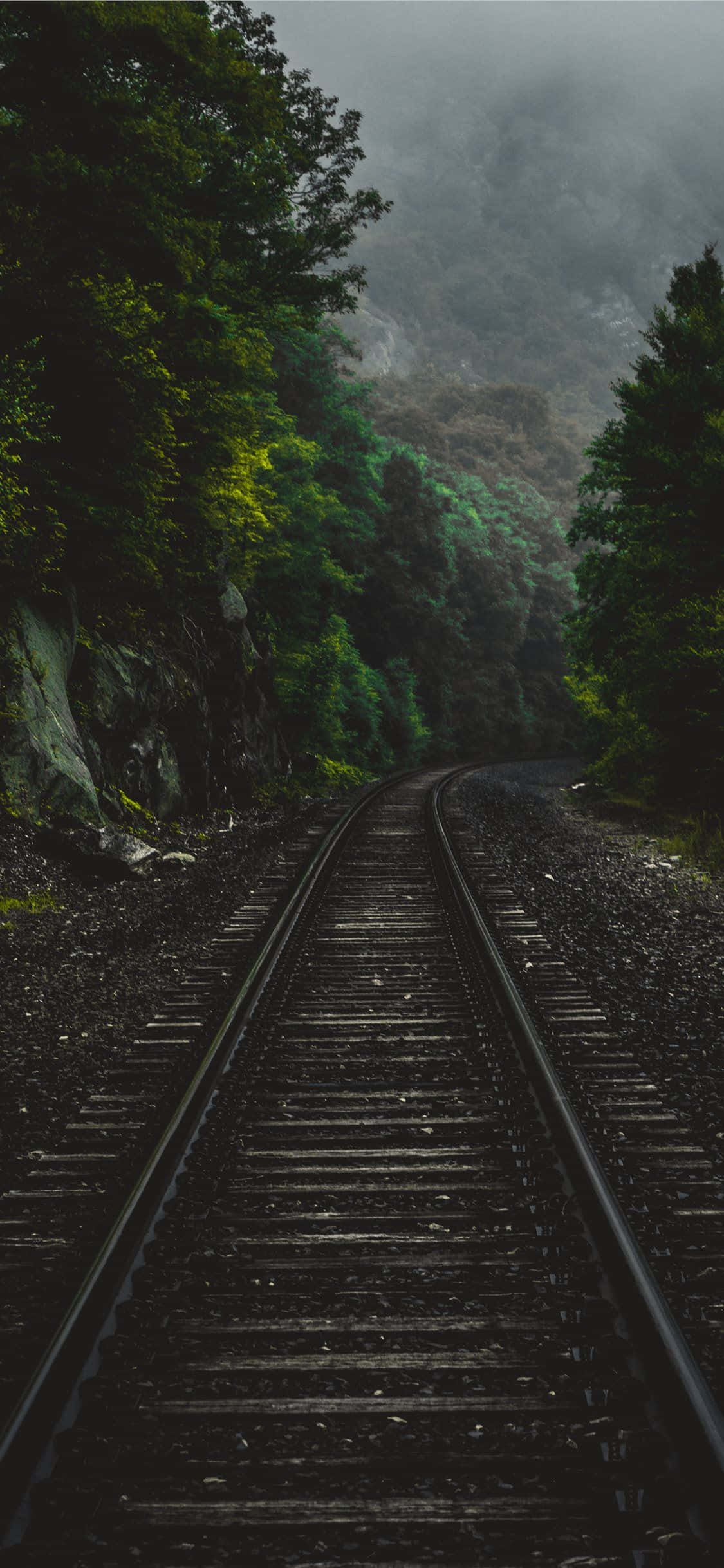 Railroad 桌布 壁紙 — 一條孤獨的鐵路軌道蜿蜒穿過霧氣瀰漫的森林，兩旁是茂密的綠樹和岩石地形，天空陰沉。