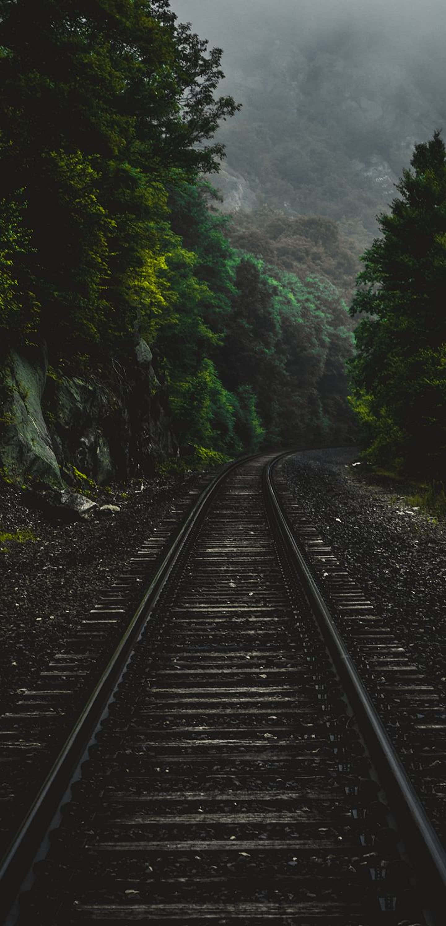 track 桌布 壁紙 — 一條孤獨的鐵路軌道蜿蜒穿過霧氣瀰漫的森林山谷，兩旁是高聳的樹木和岩石斜坡，天空陰沉。