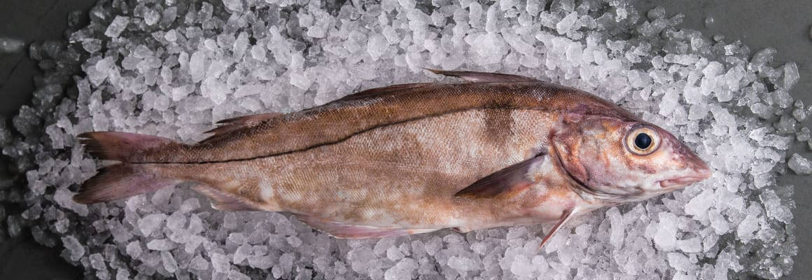 魚 桌布 壁紙 — 一條完整的新鮮魚放在碎冰床上，在市場展示中。