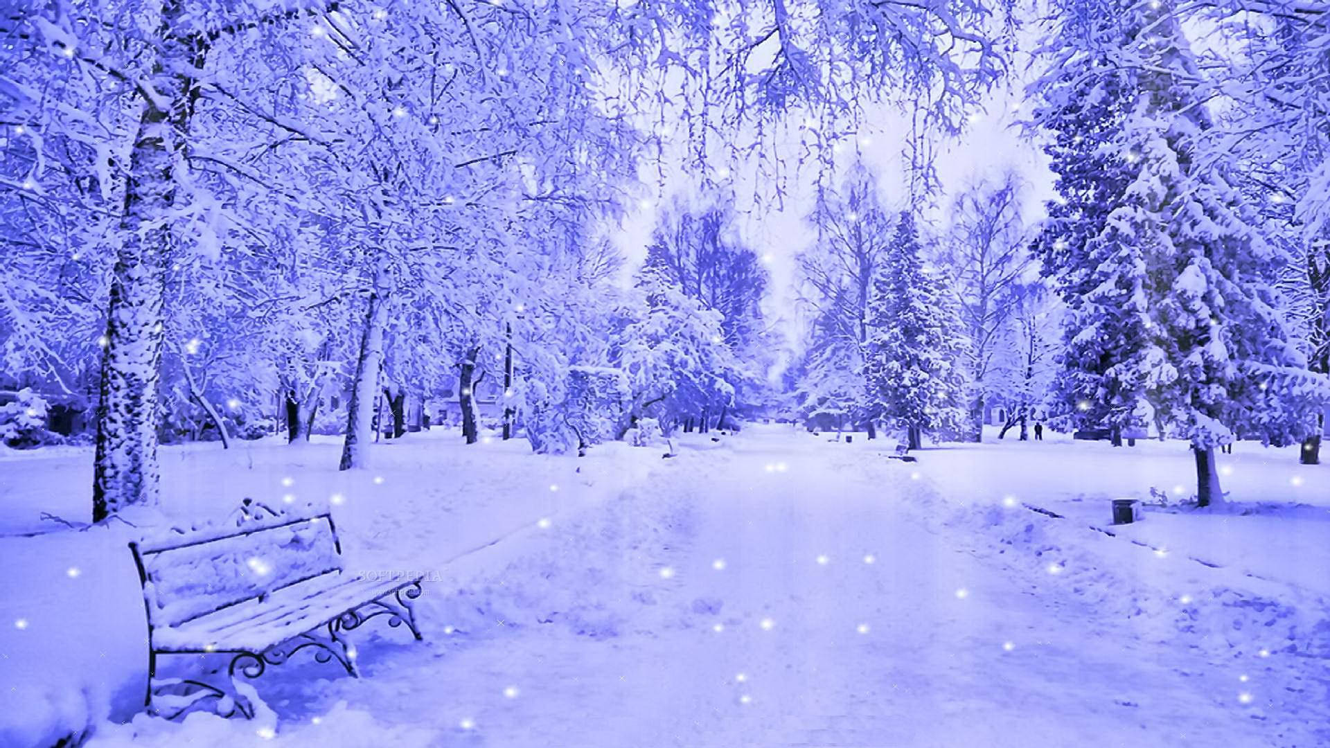 雪 桌布 壁紙 — 一條寧靜的冬季公園小徑，兩旁是白雪覆蓋的樹木和長椅，在藍色調的天空下飄著雪花。