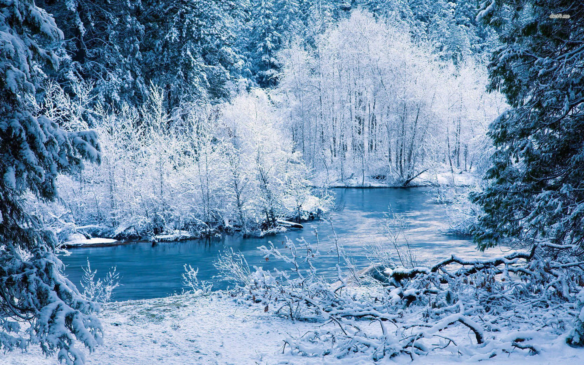 Winter Forest 桌布 壁紙 — 一條寧靜的冬季河流蜿蜒穿過白雪覆蓋的樹木，在清涼的藍天下。