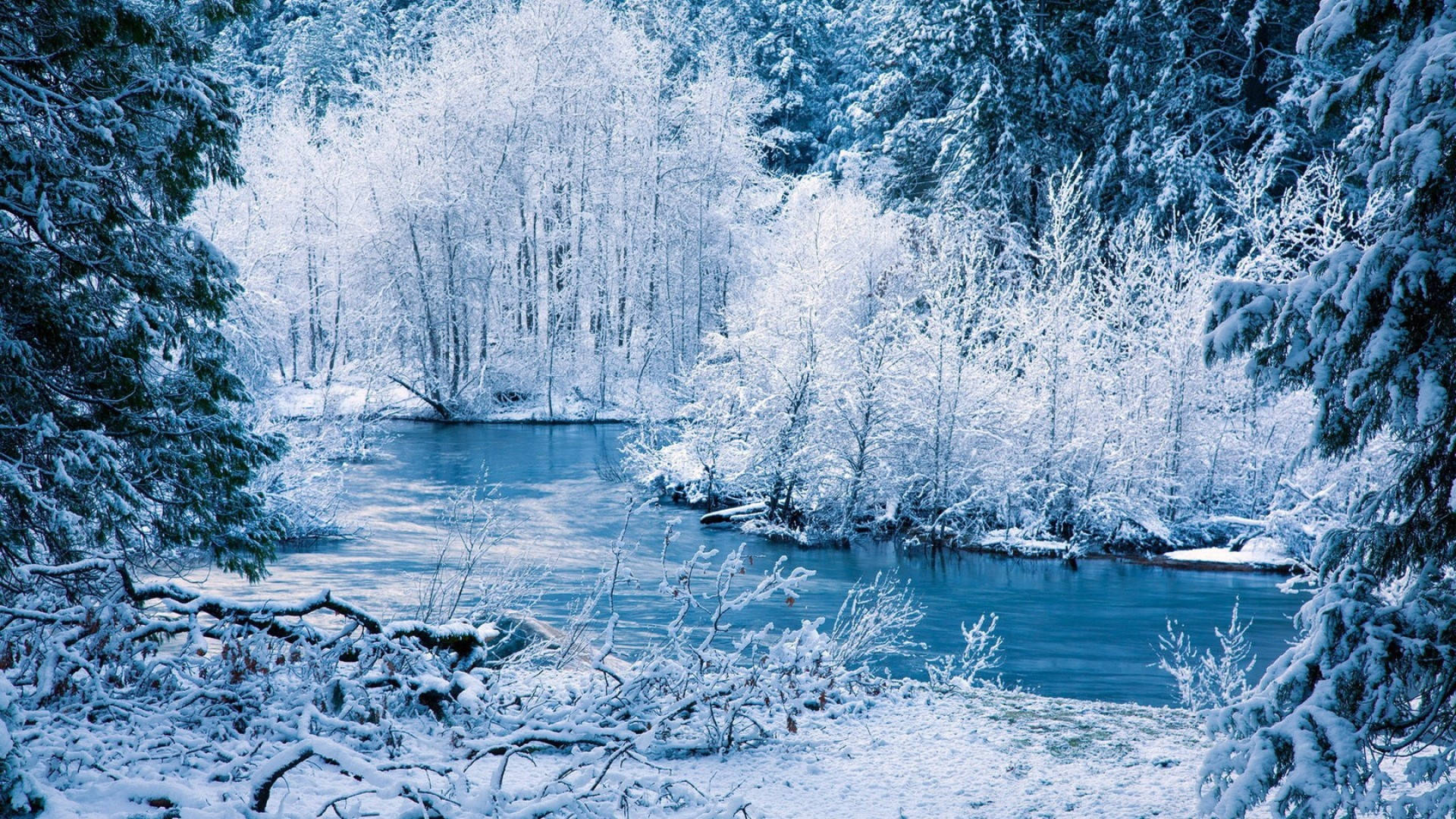 森林 桌布 壁紙 — 一條寧靜的冬季河流蜿蜒穿過白雪覆蓋的森林，結霜的樹木倒映在平靜的藍色水面上。